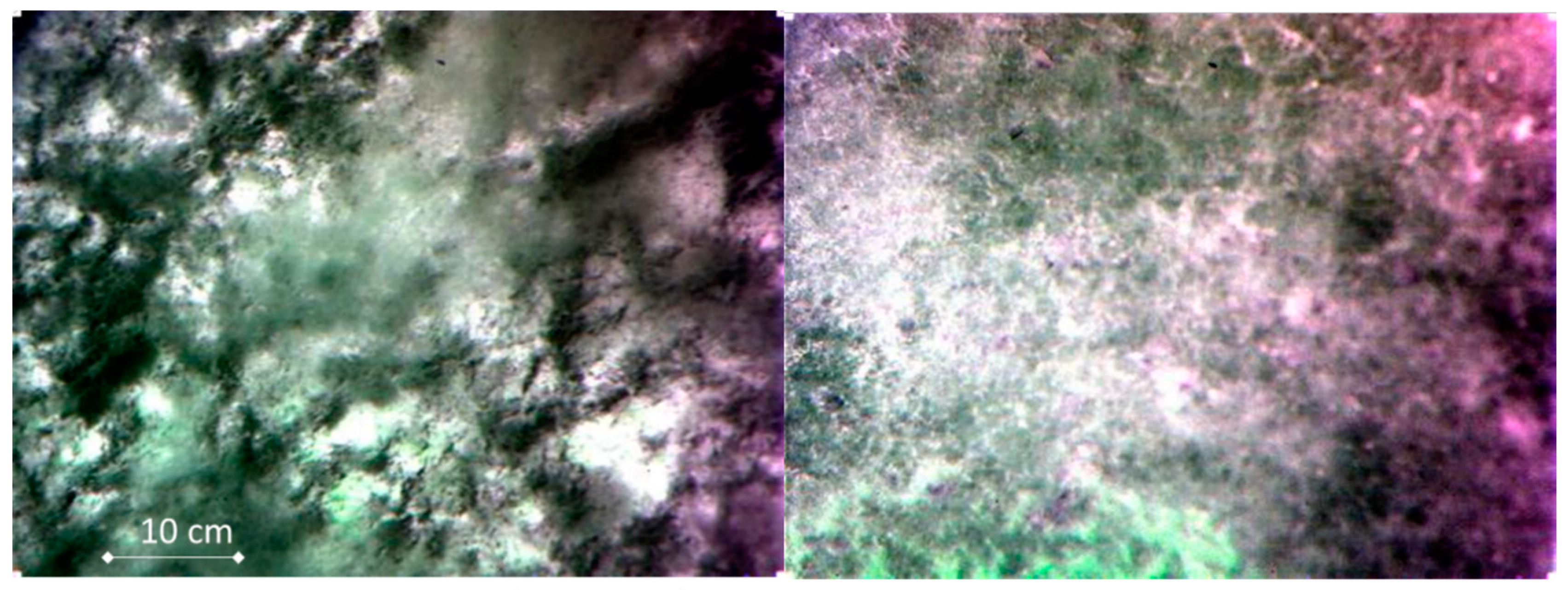 Remotesensing 13 01999 g003 Remotesensing 13 01999 g003