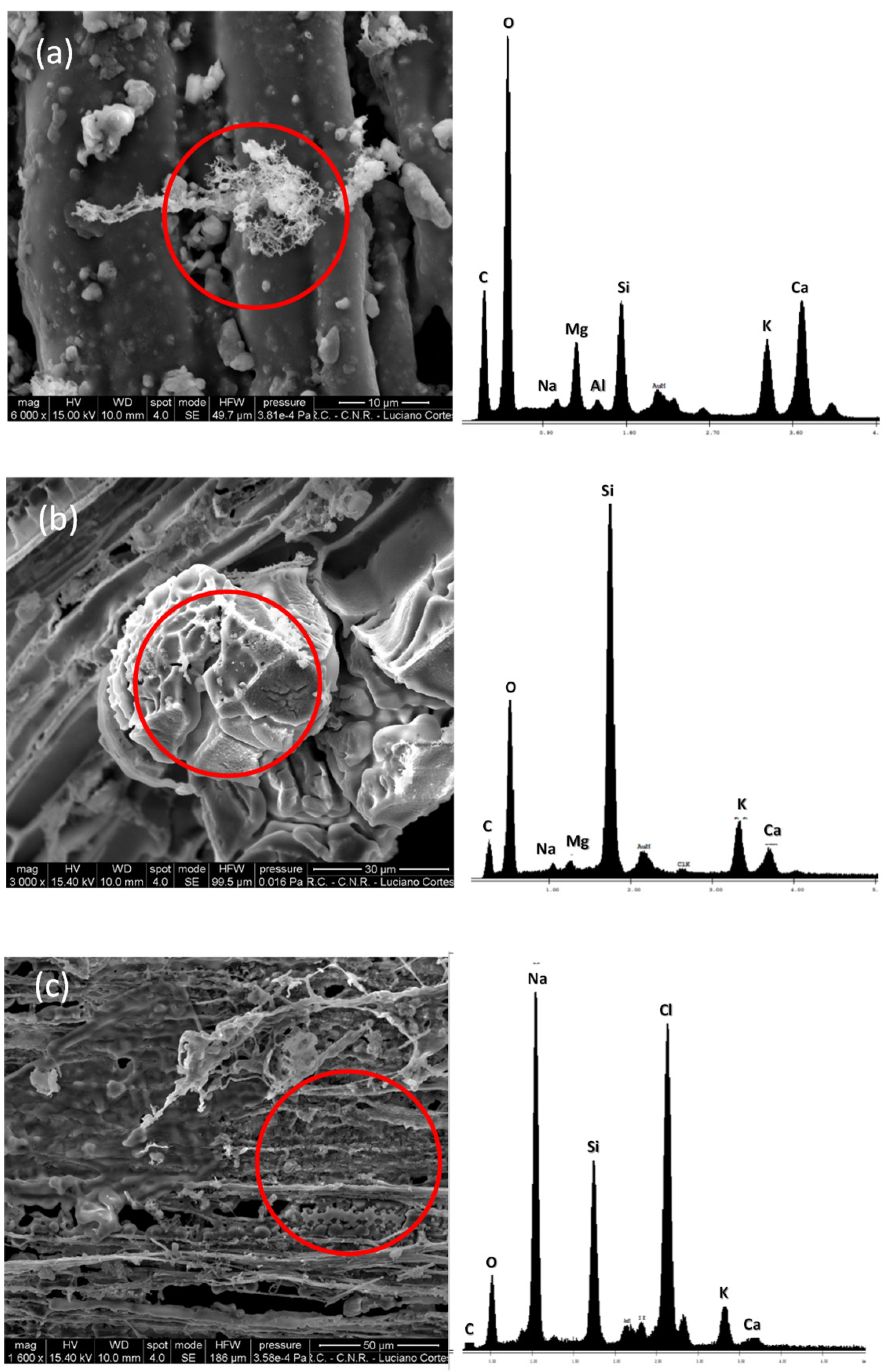 Remotesensing 13 02001 g019 Remotesensing 13 02001 g019