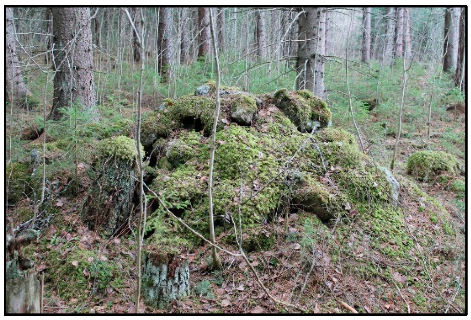 Remotesensing 13 02010 g002