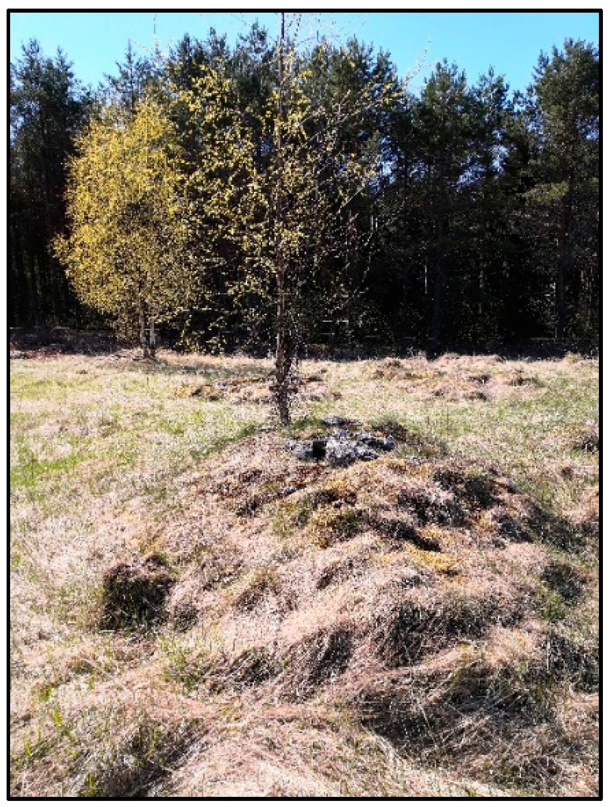 Remotesensing 13 02010 g003