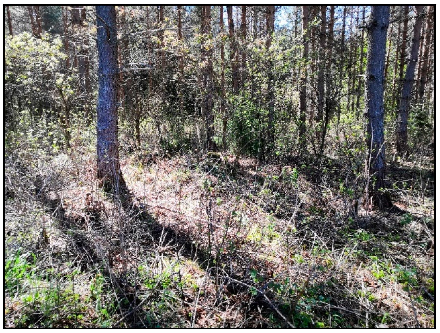 Remotesensing 13 02010 g009