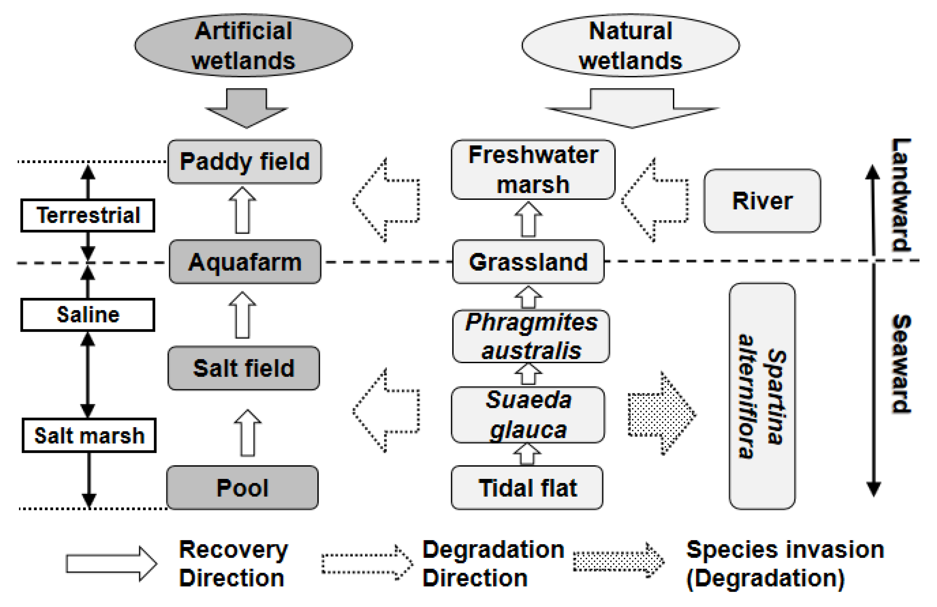 Remotesensing 13 02030 g003 Remotesensing 13 02030 g003