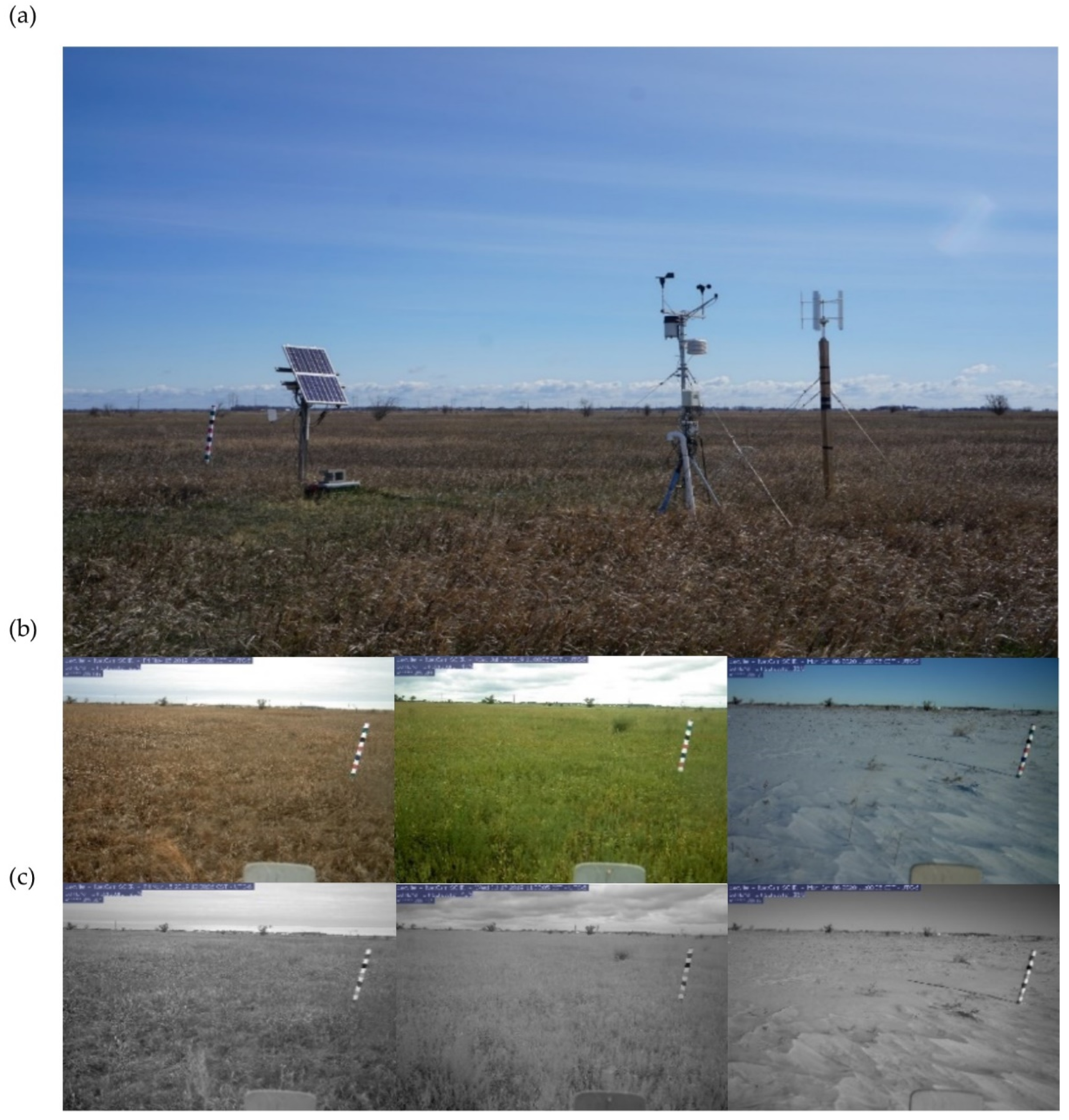 Remotesensing 13 02045 g004