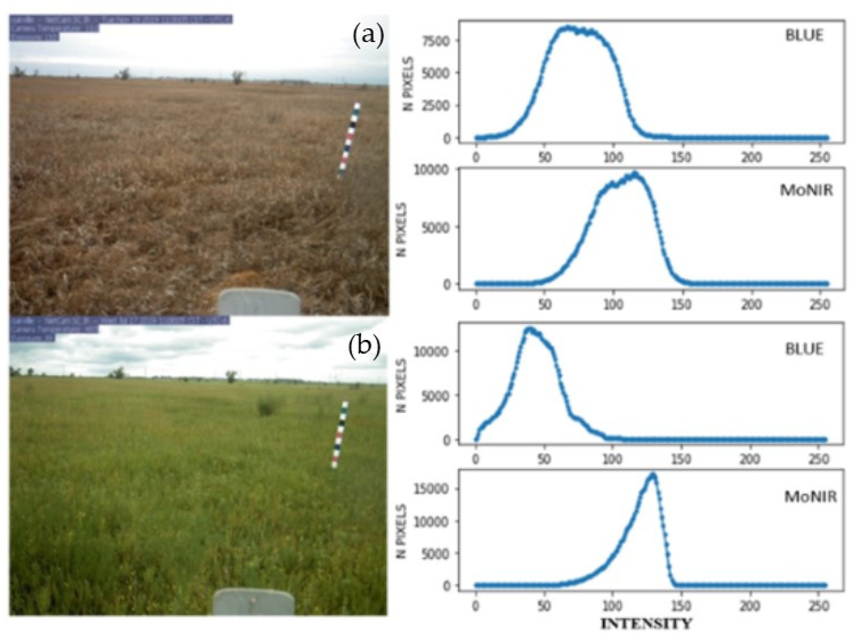 Remotesensing 13 02045 g006