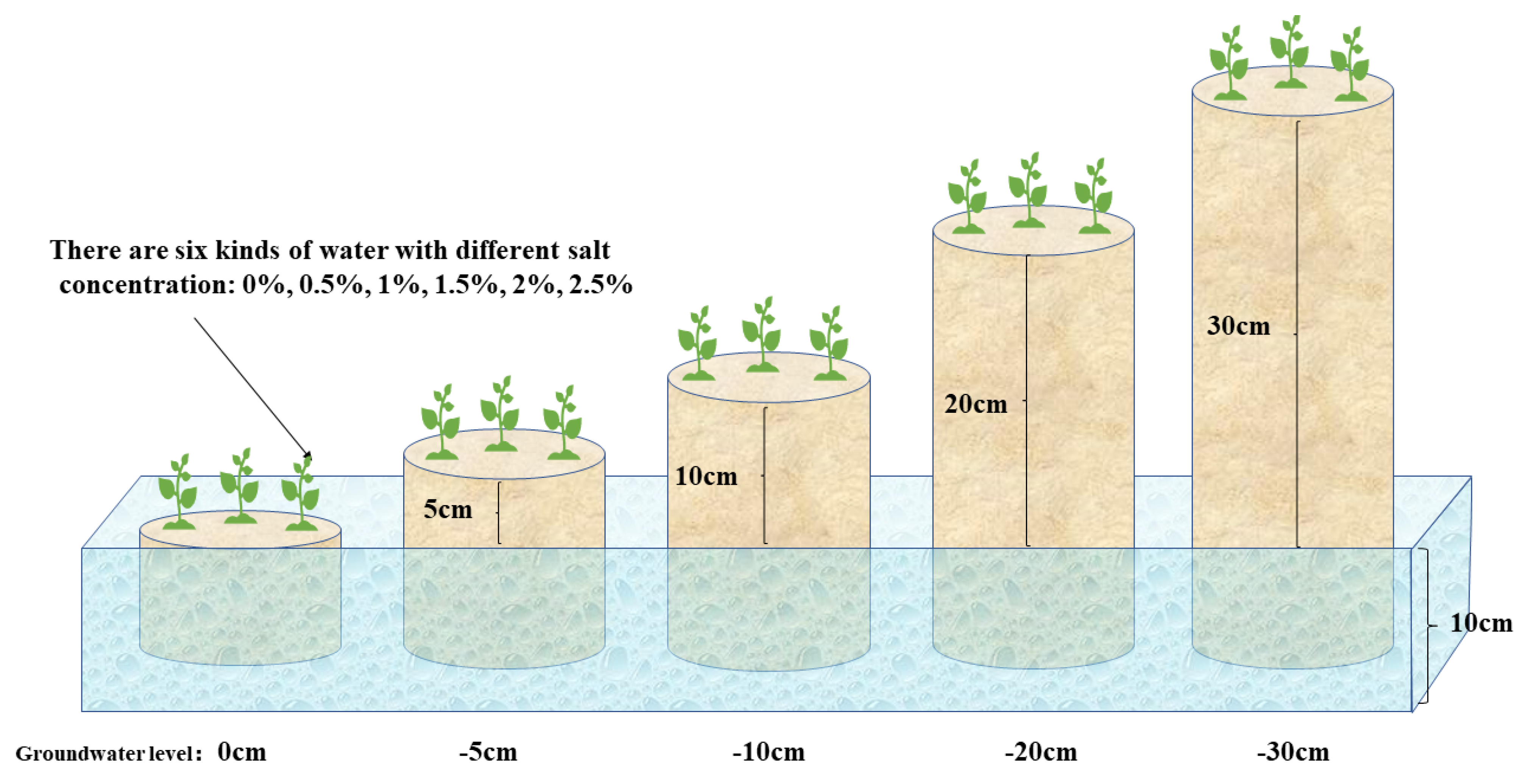 Remotesensing 13 02066 g002