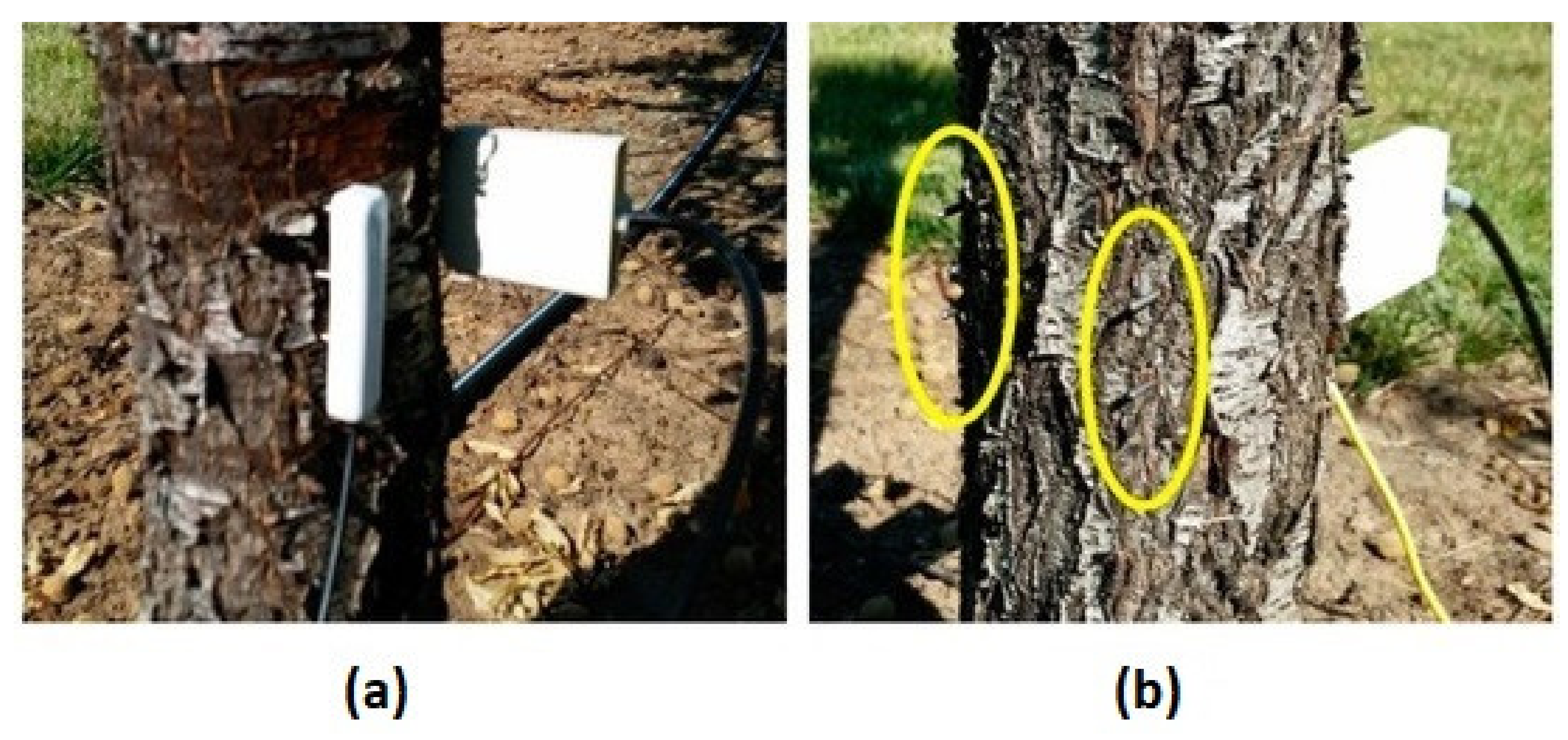 Remotesensing 13 02088 g006