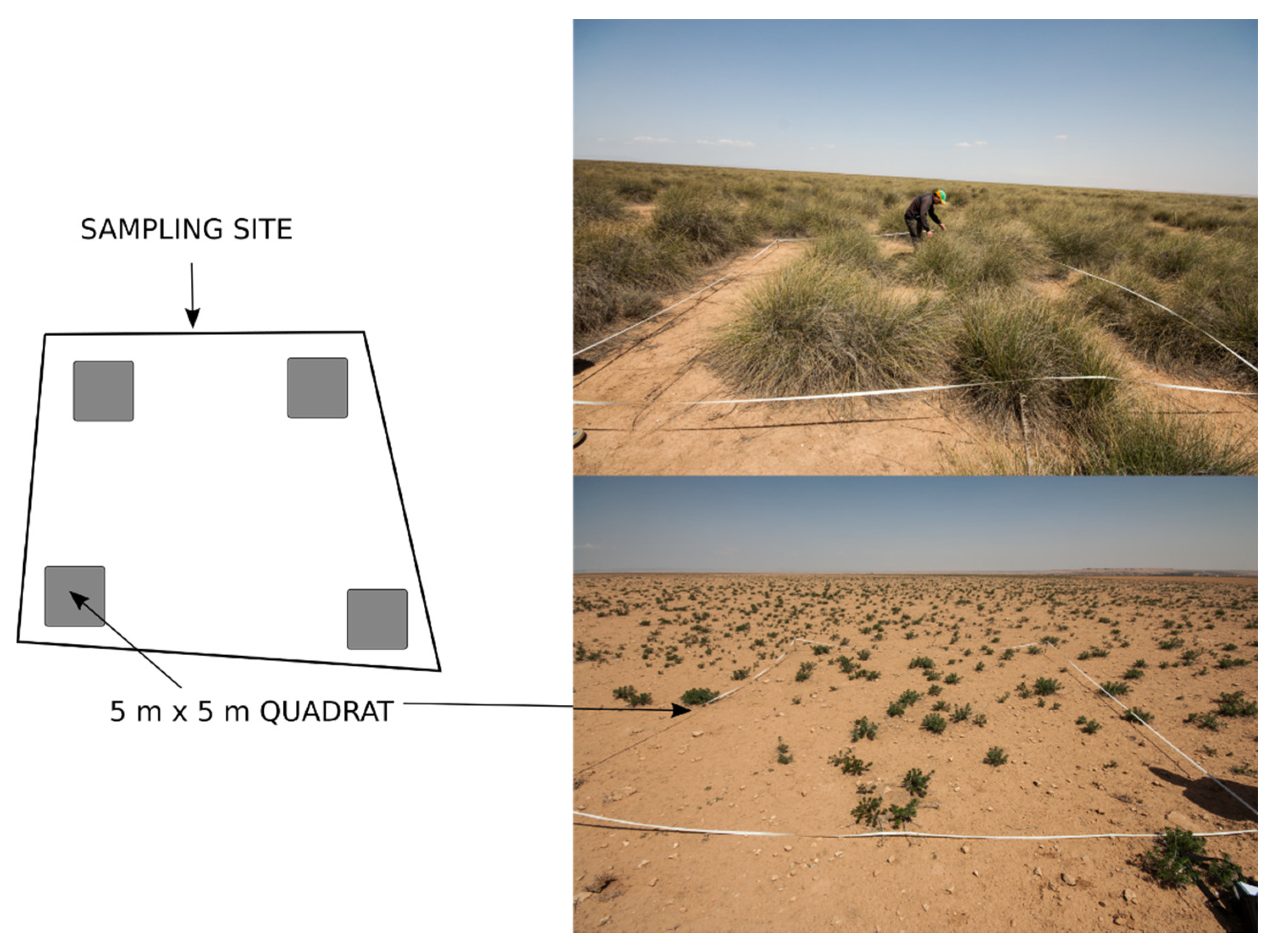 Remotesensing 13 02093 g002 Remotesensing 13 02093 g002