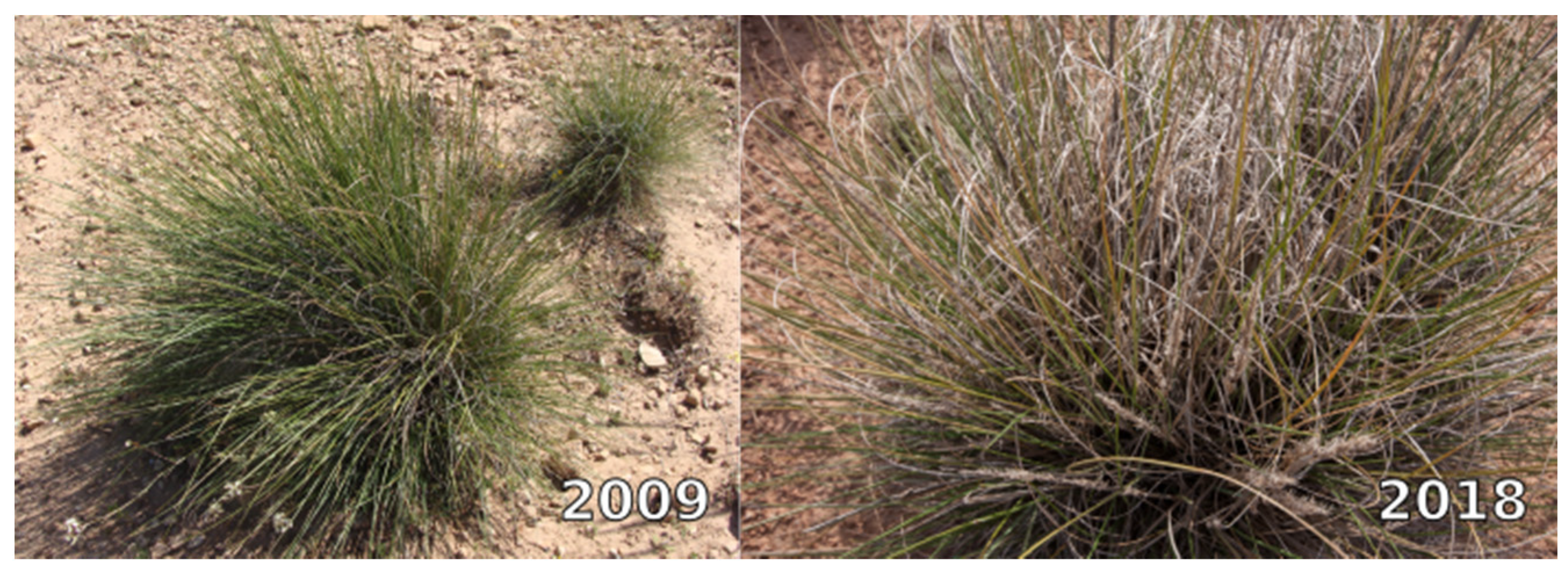 Remotesensing 13 02093 g008 Remotesensing 13 02093 g008