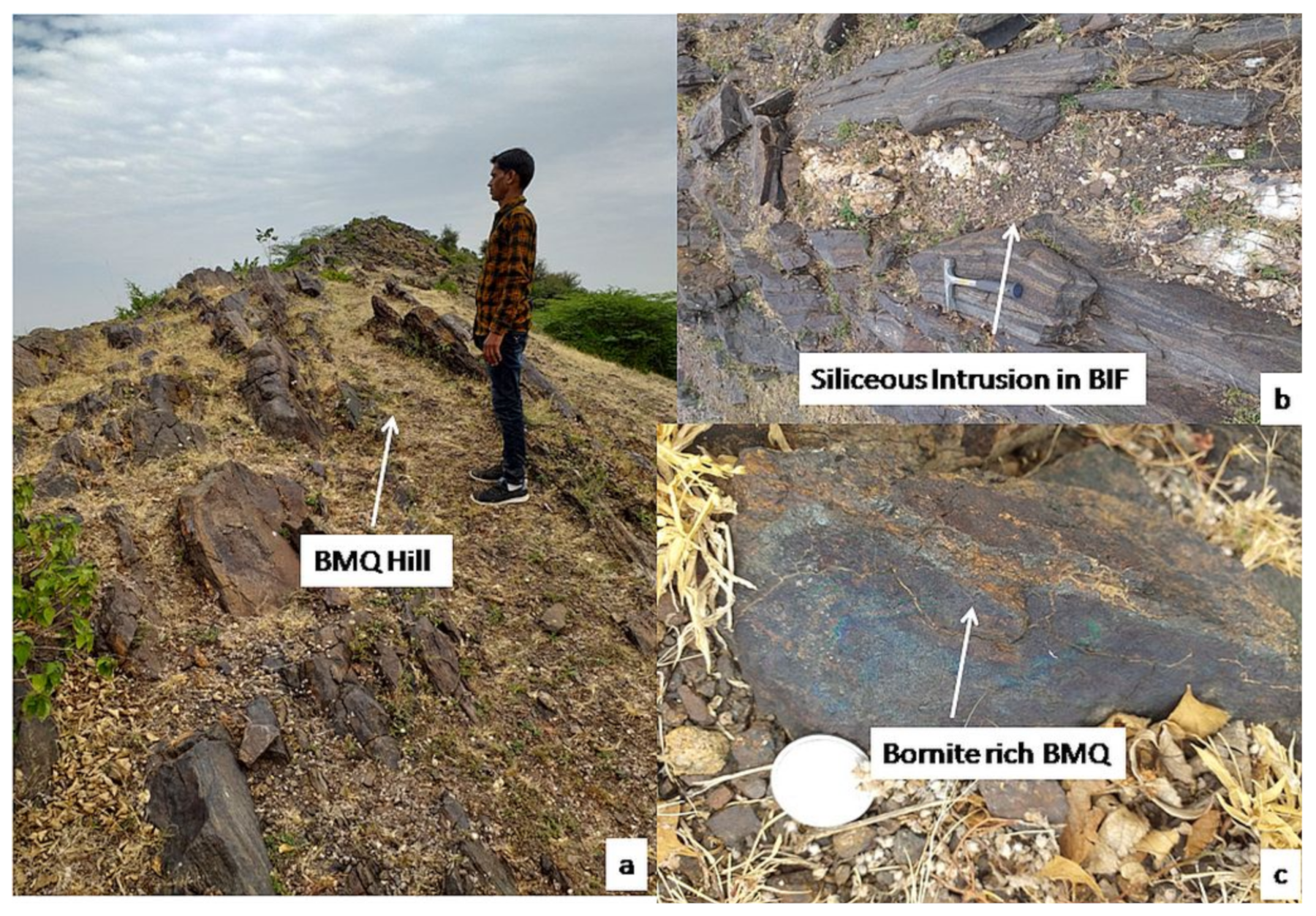 Remotesensing 13 02101 g013