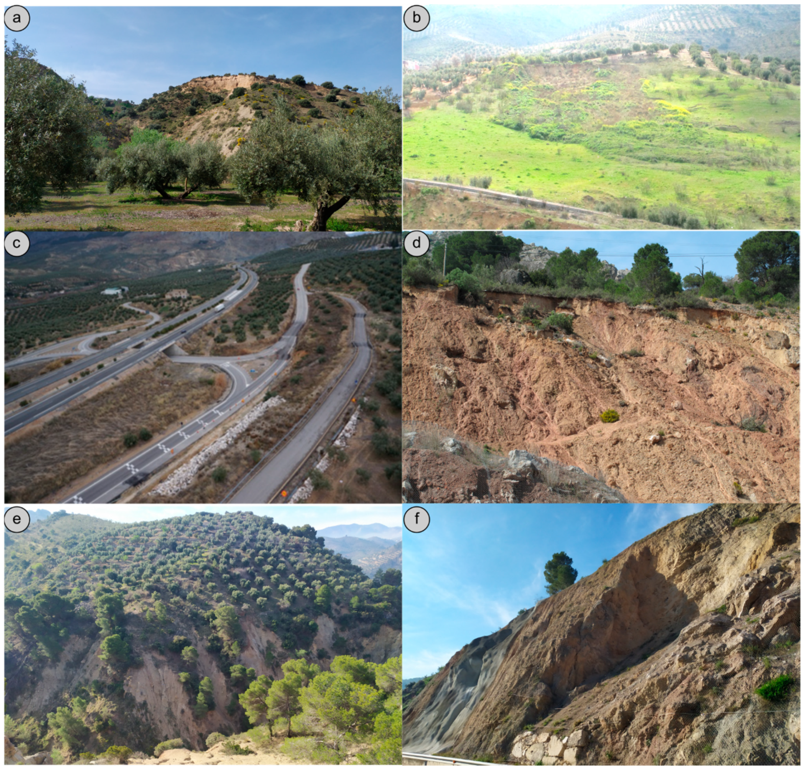 Remotesensing 13 02110 g002 Remotesensing 13 02110 g002