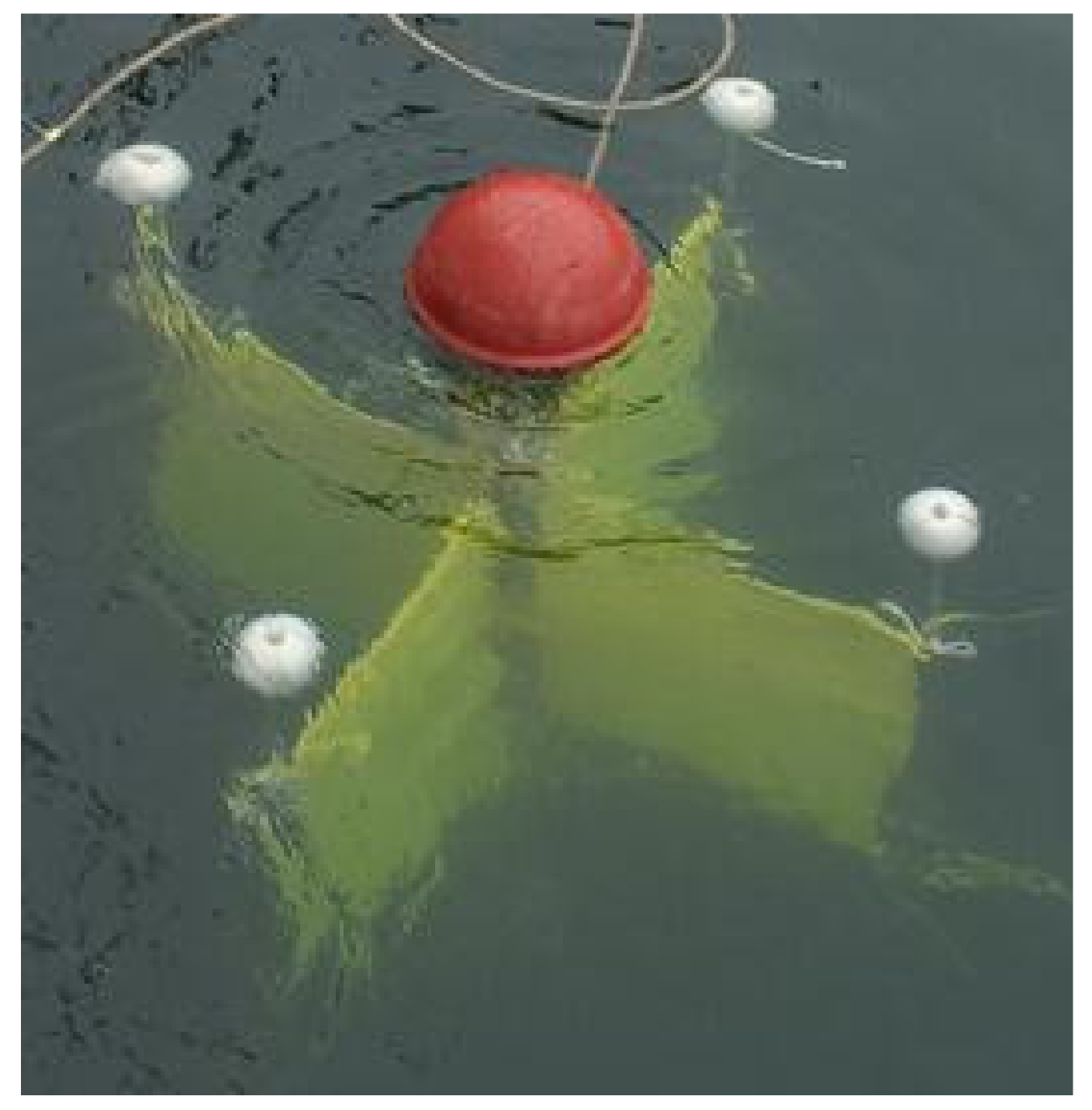 Remotesensing 13 02115 g002 Remotesensing 13 02115 g002