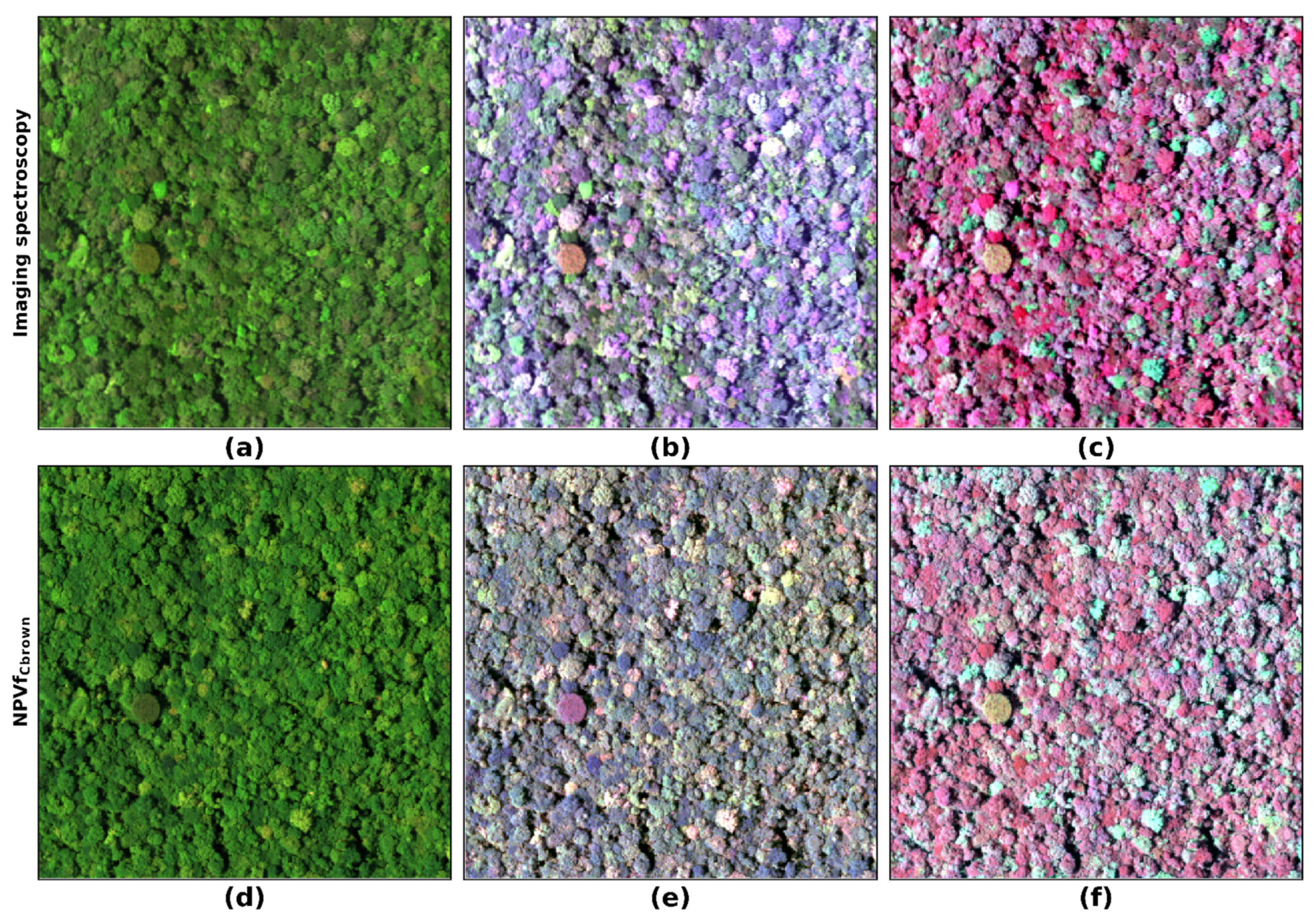 Remotesensing 13 02120 g013 Remotesensing 13 02120 g013