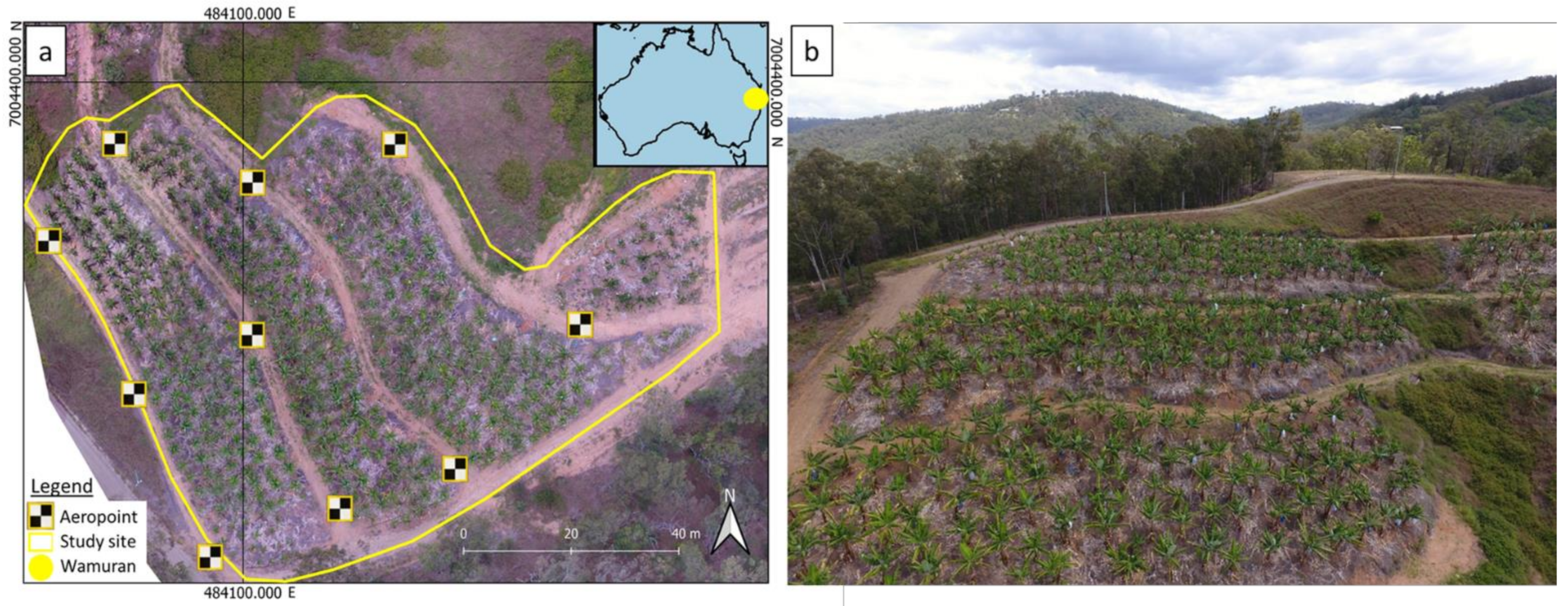 Remotesensing 13 02123 g001 Remotesensing 13 02123 g001