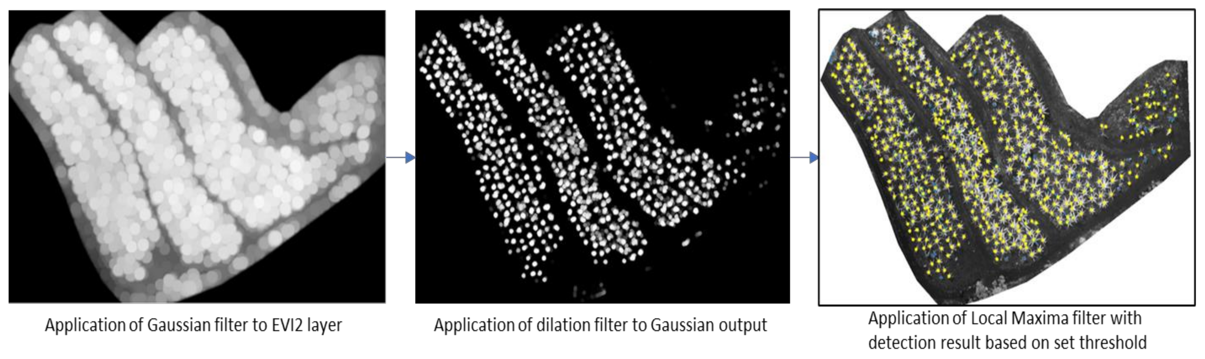 Remotesensing 13 02123 g007 Remotesensing 13 02123 g007