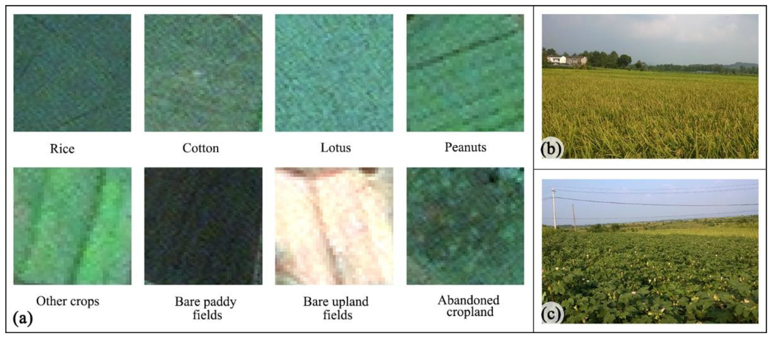 Remotesensing 13 02146 g002