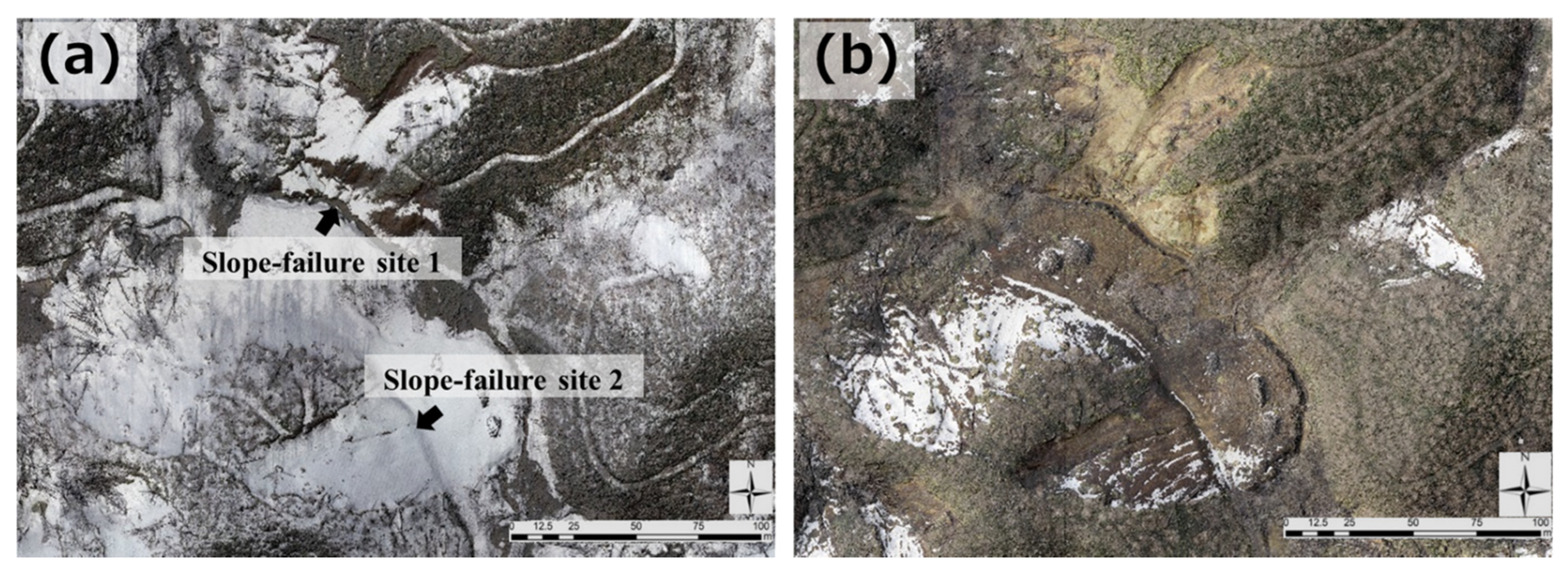 Remotesensing 13 02167 g003