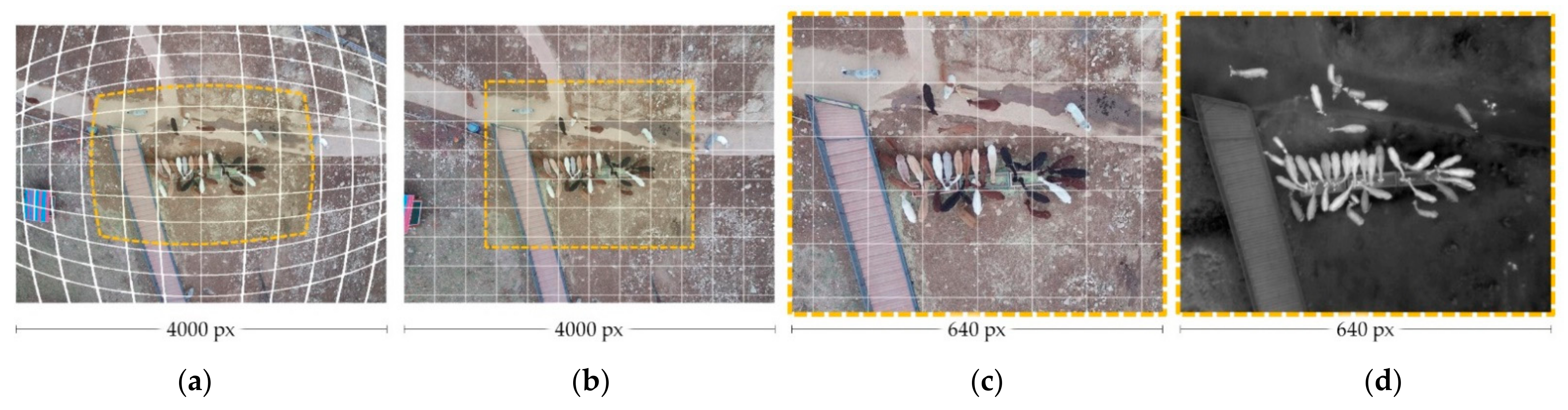 Remotesensing 13 02169 g004 Remotesensing 13 02169 g004
