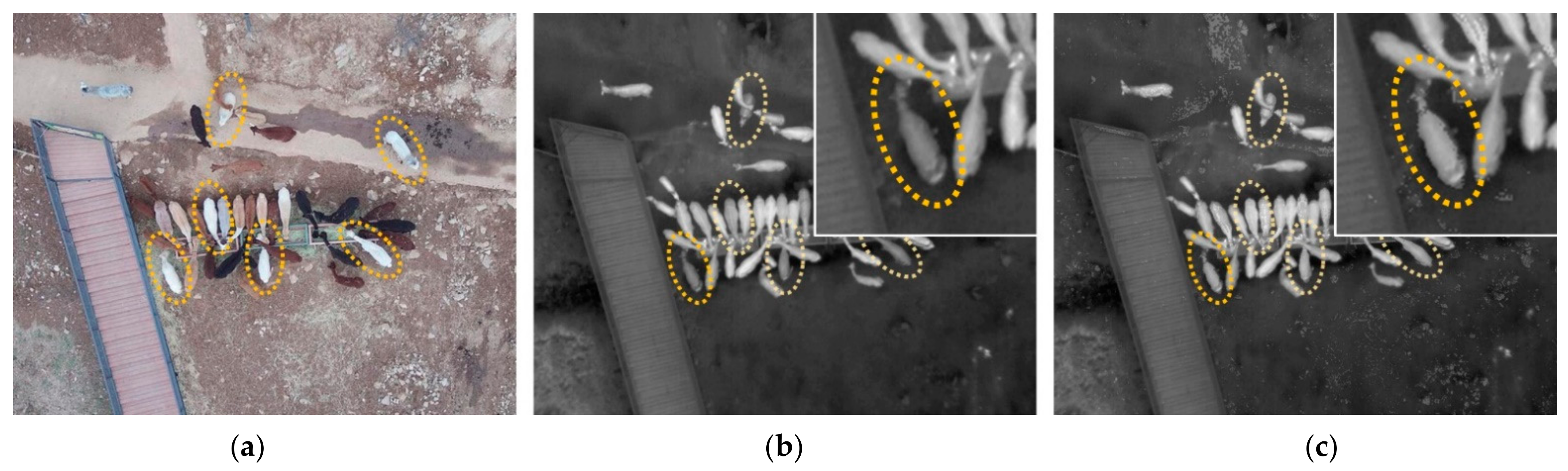 Remotesensing 13 02169 g005 Remotesensing 13 02169 g005