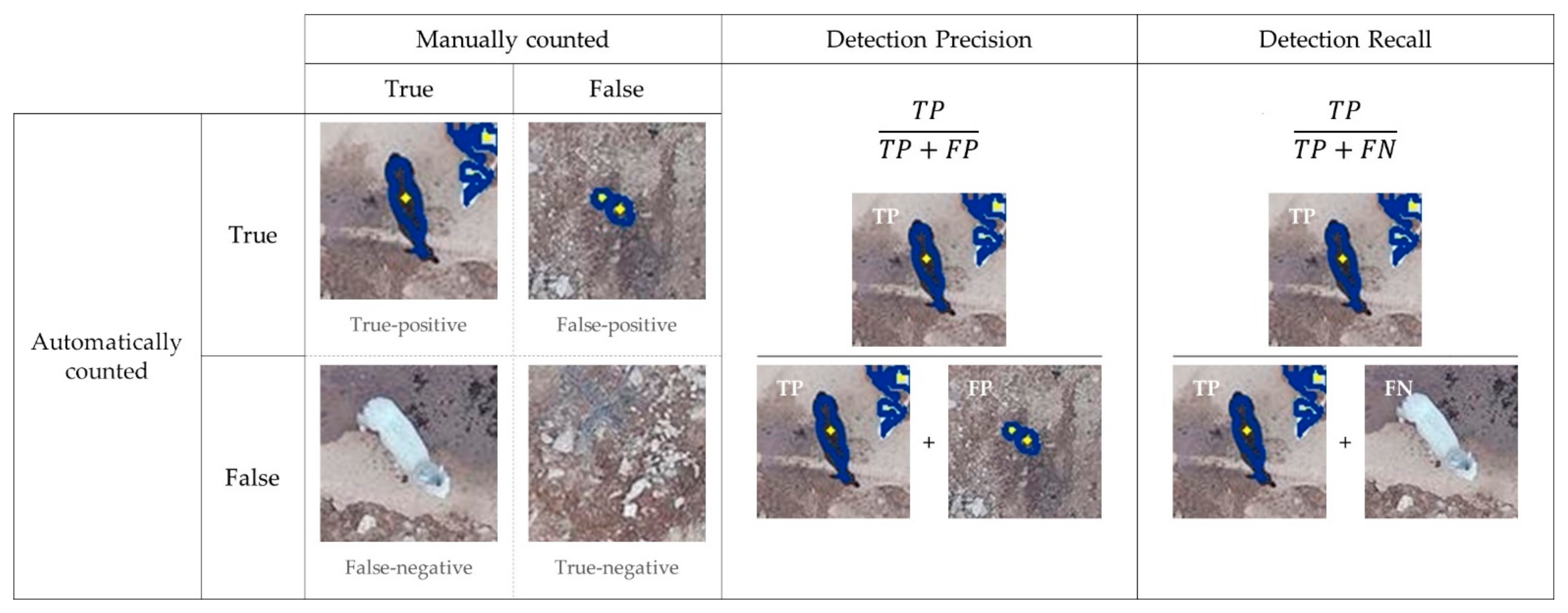 Remotesensing 13 02169 g010 Remotesensing 13 02169 g010