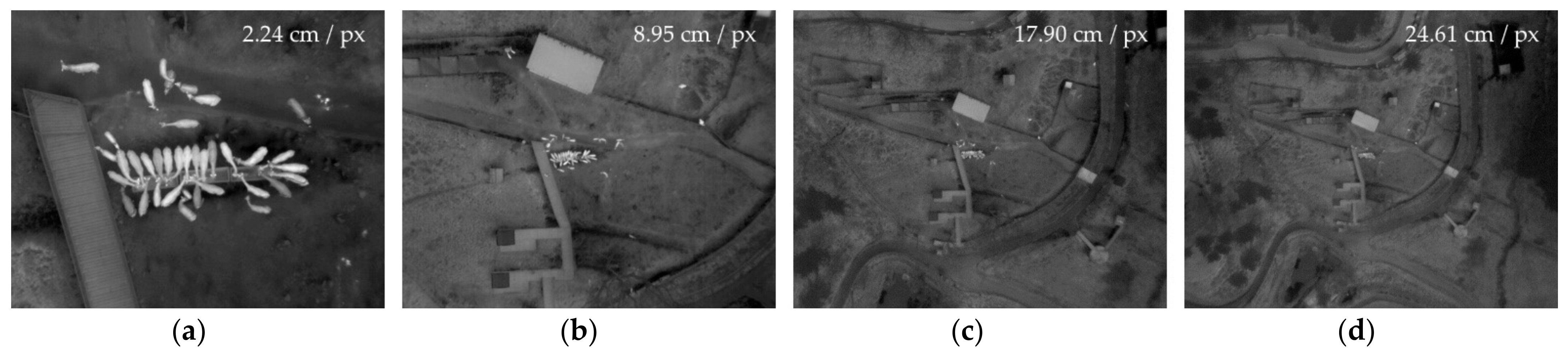 Remotesensing 13 02169 g012 Remotesensing 13 02169 g012