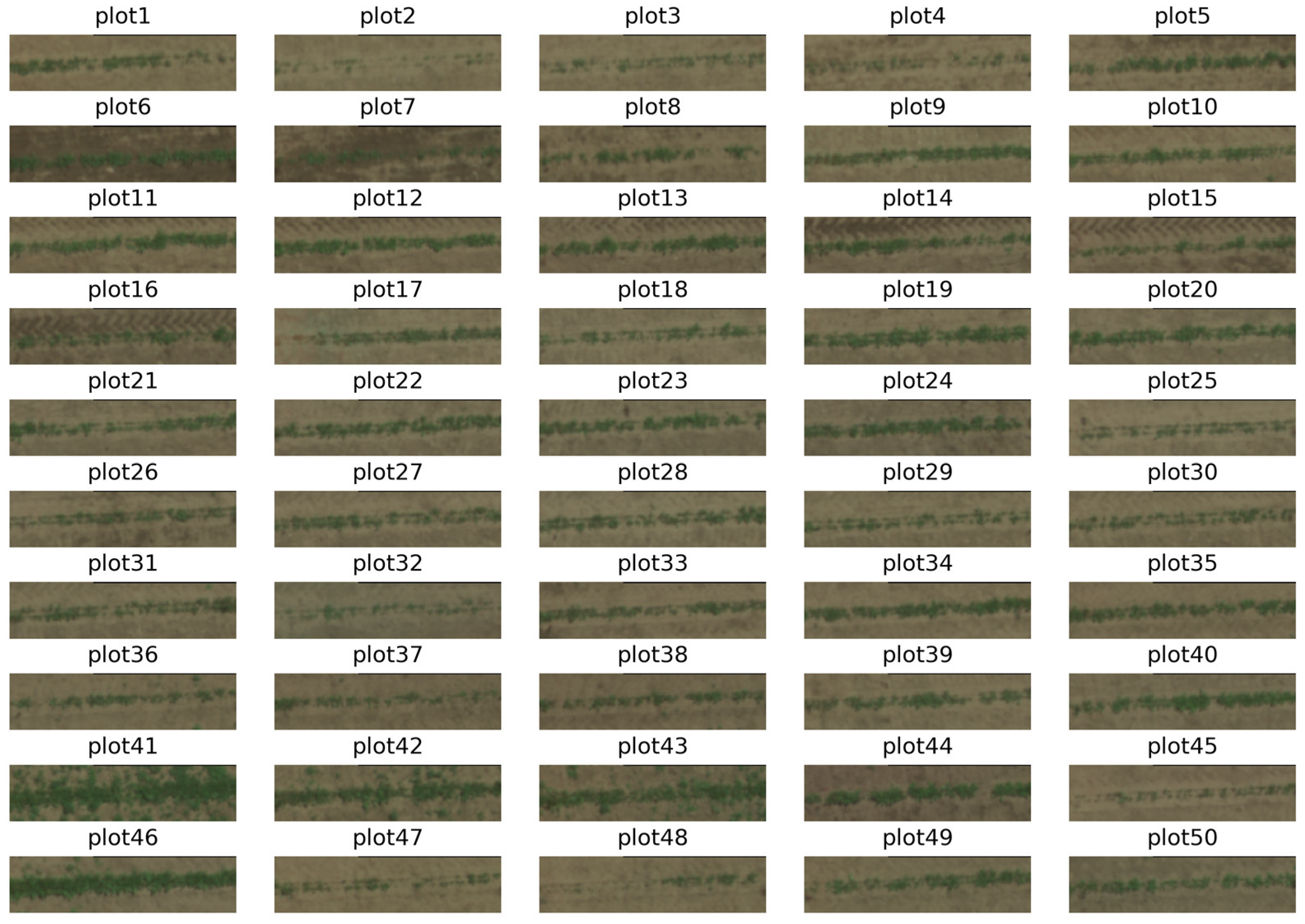 Remotesensing 13 02180 g002 Remotesensing 13 02180 g002