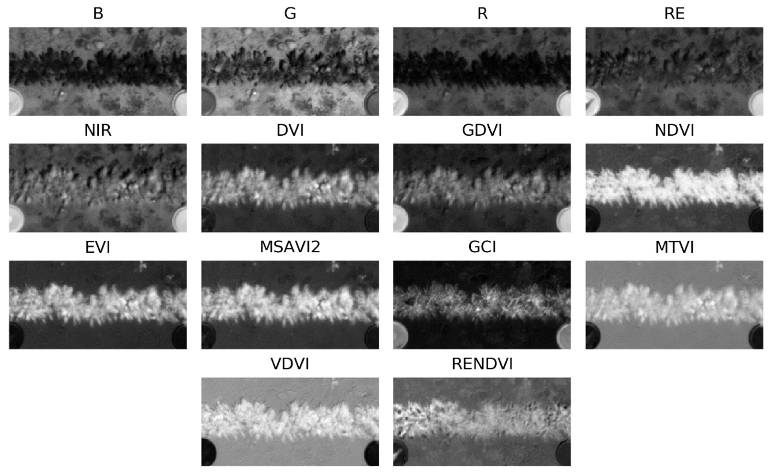 Remotesensing 13 02180 g005 Remotesensing 13 02180 g005