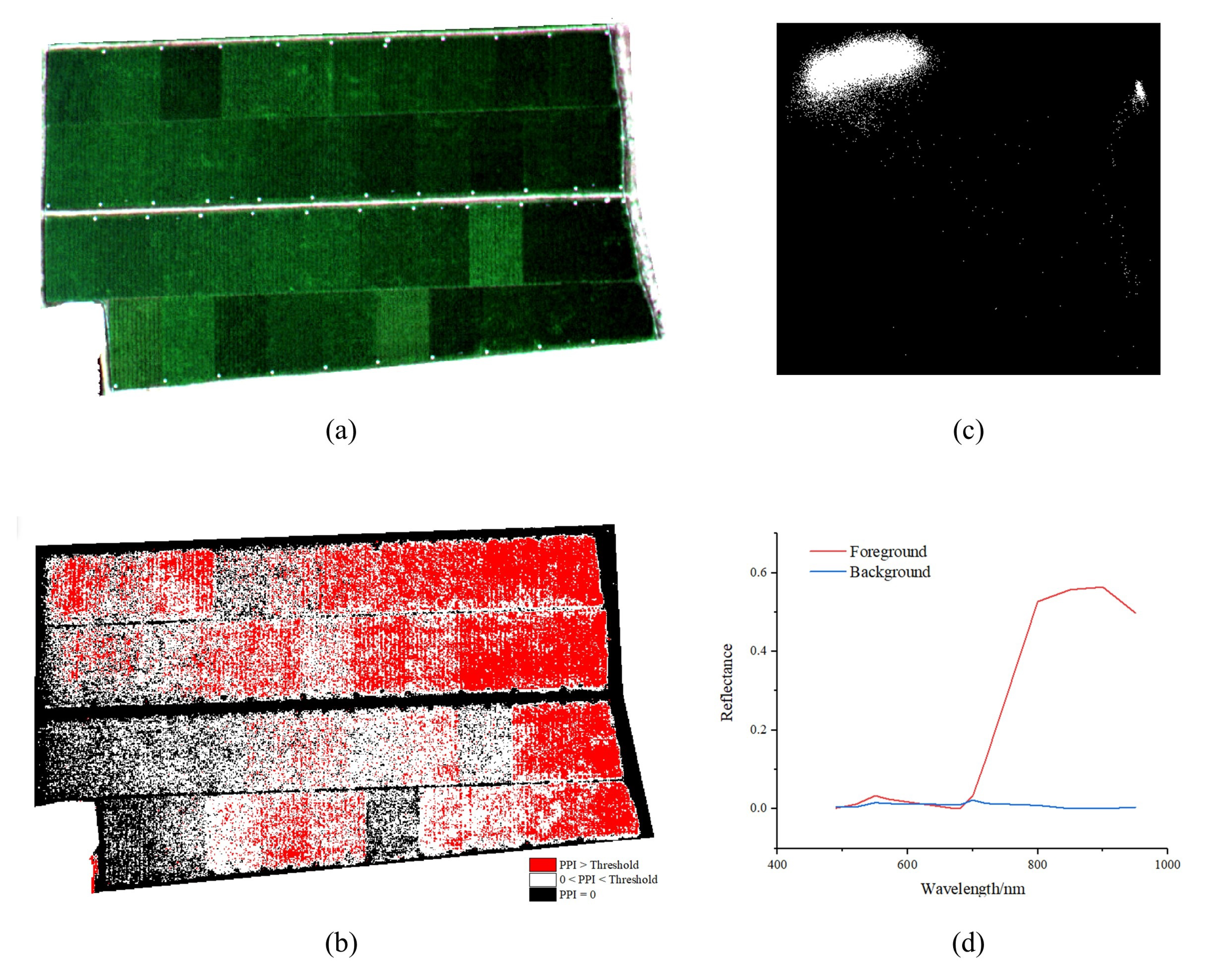 Remotesensing 13 02190 g005 Remotesensing 13 02190 g005