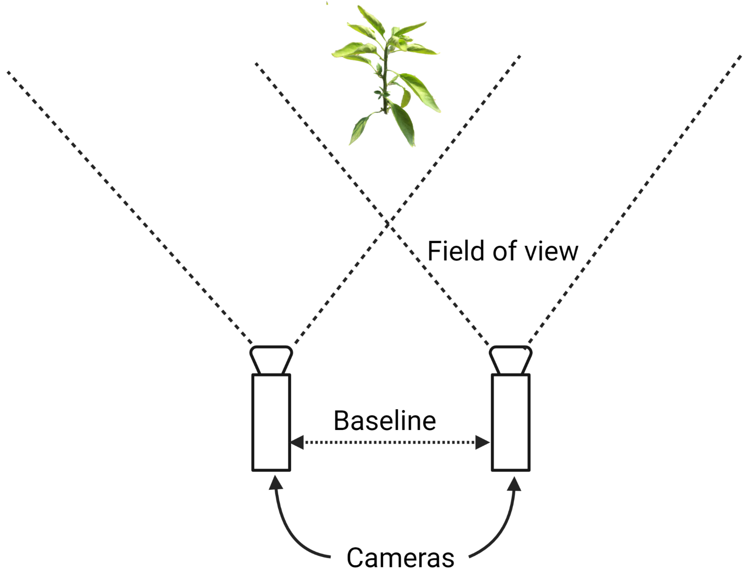 Remotesensing 13 02232 g006