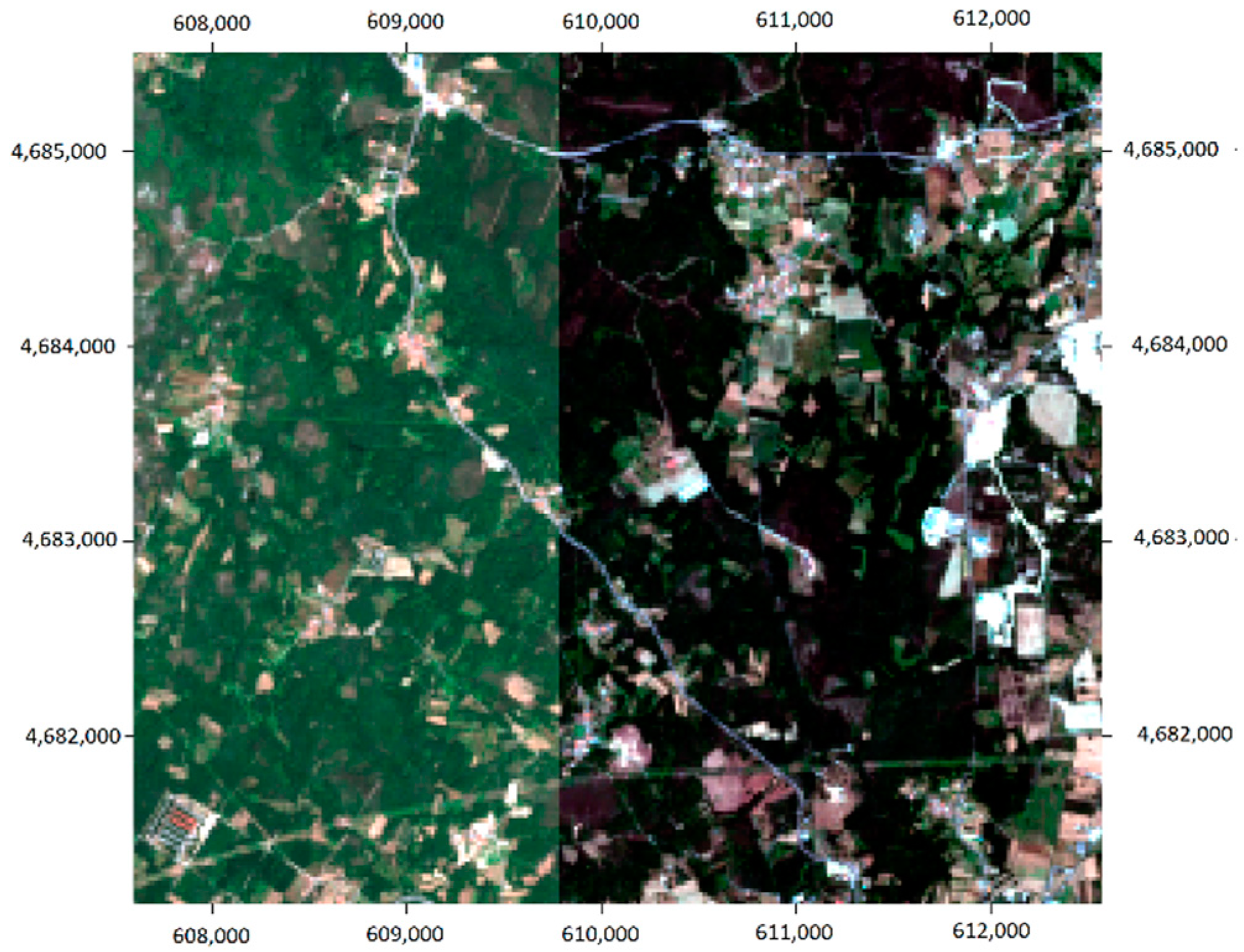 Sensing | Free | Forest Land Cover at a Regional Scale Using Sentinel-2 Imagery and RF Models | HTML