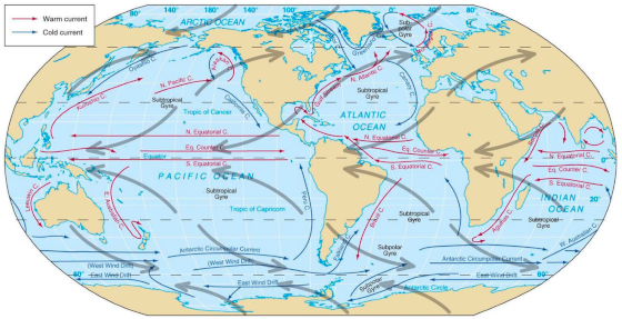 Remotesensing 13 02248 g005