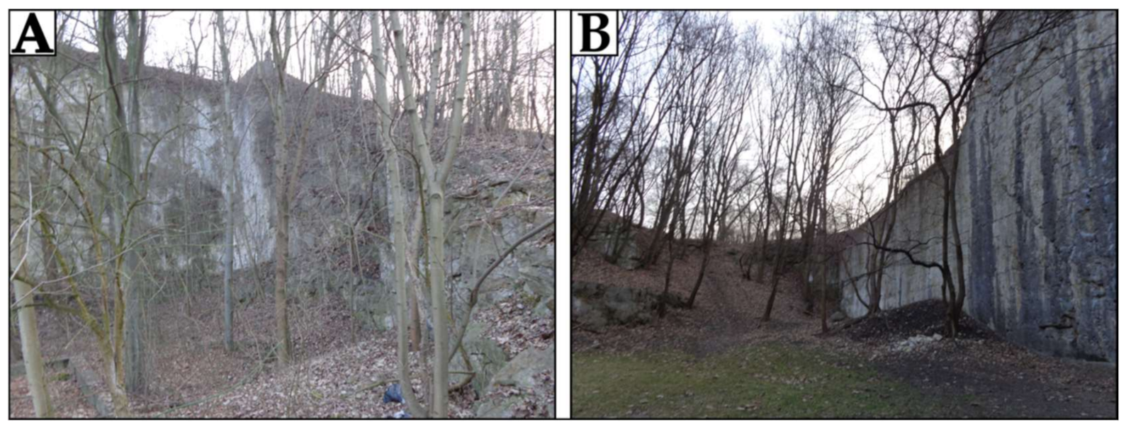 Remotesensing 13 02286 g013 Remotesensing 13 02286 g013