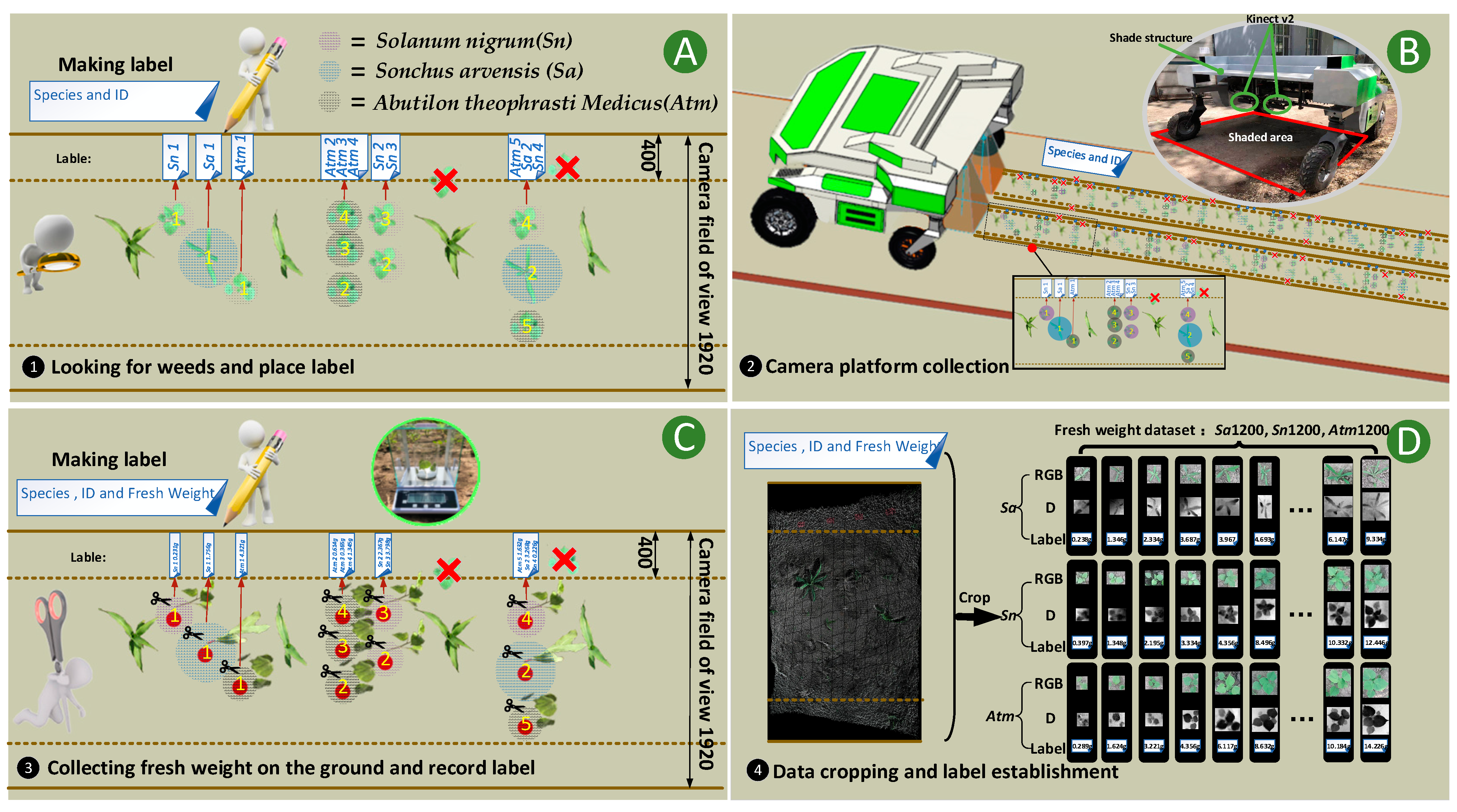 Remotesensing 13 02288 g001 Remotesensing 13 02288 g001