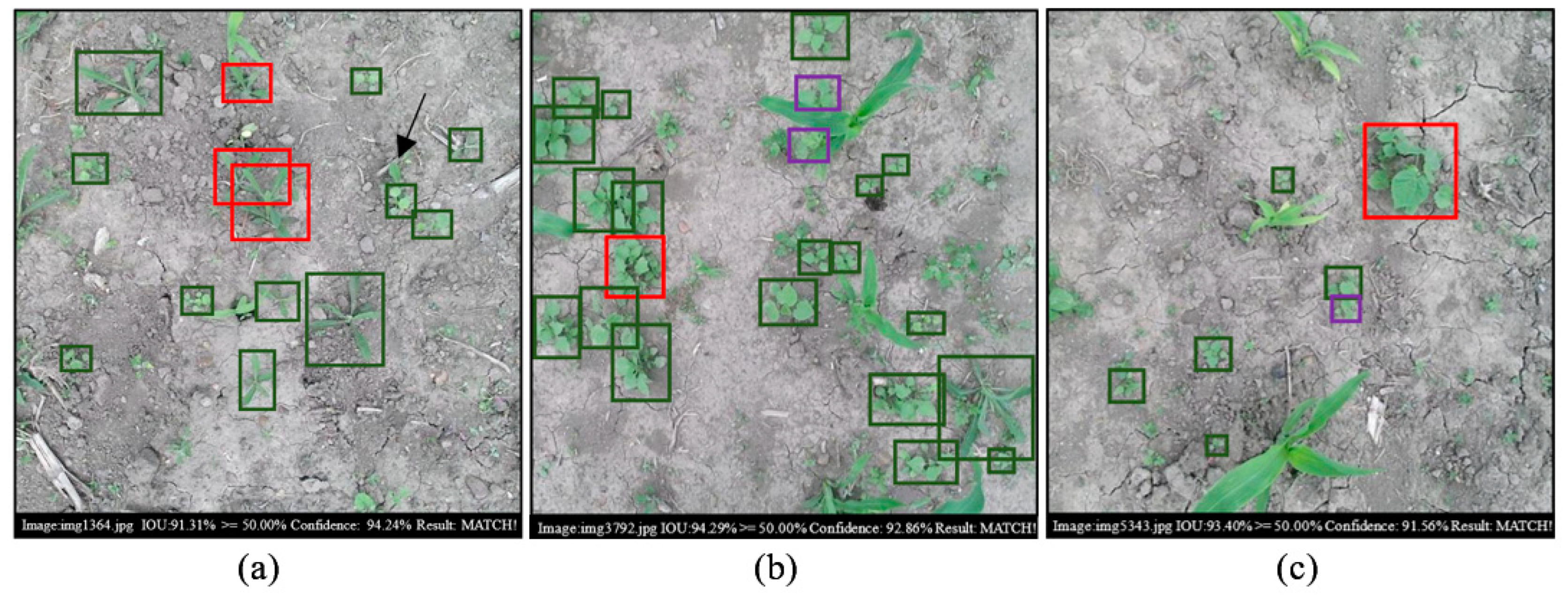 Remotesensing 13 02288 g015 Remotesensing 13 02288 g015