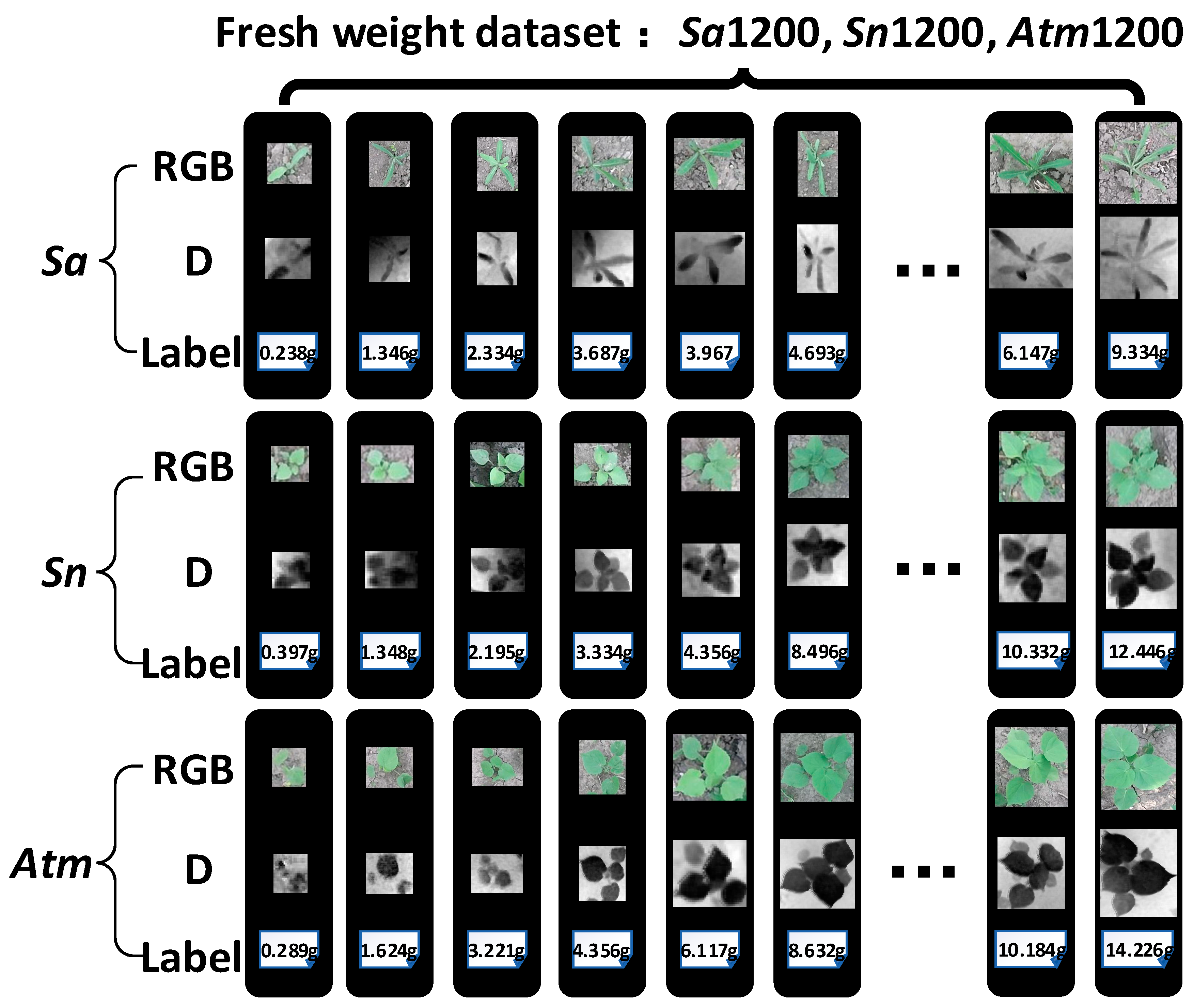Remotesensing 13 02288 g0a1 Remotesensing 13 02288 g0a1
