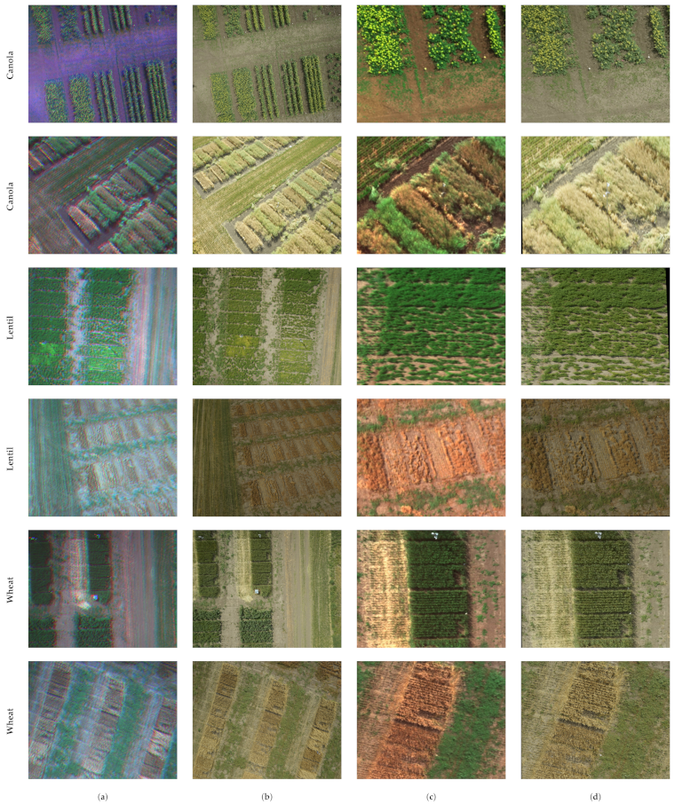 Remotesensing 13 02308 g003