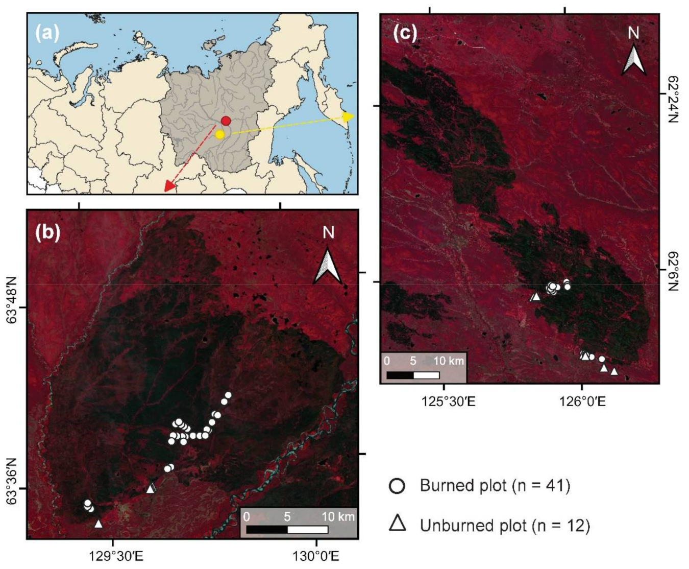 Remotesensing 13 02311 g001