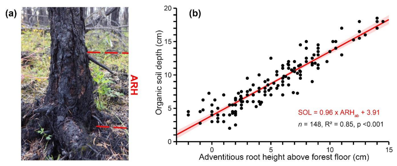 Remotesensing 13 02311 g002