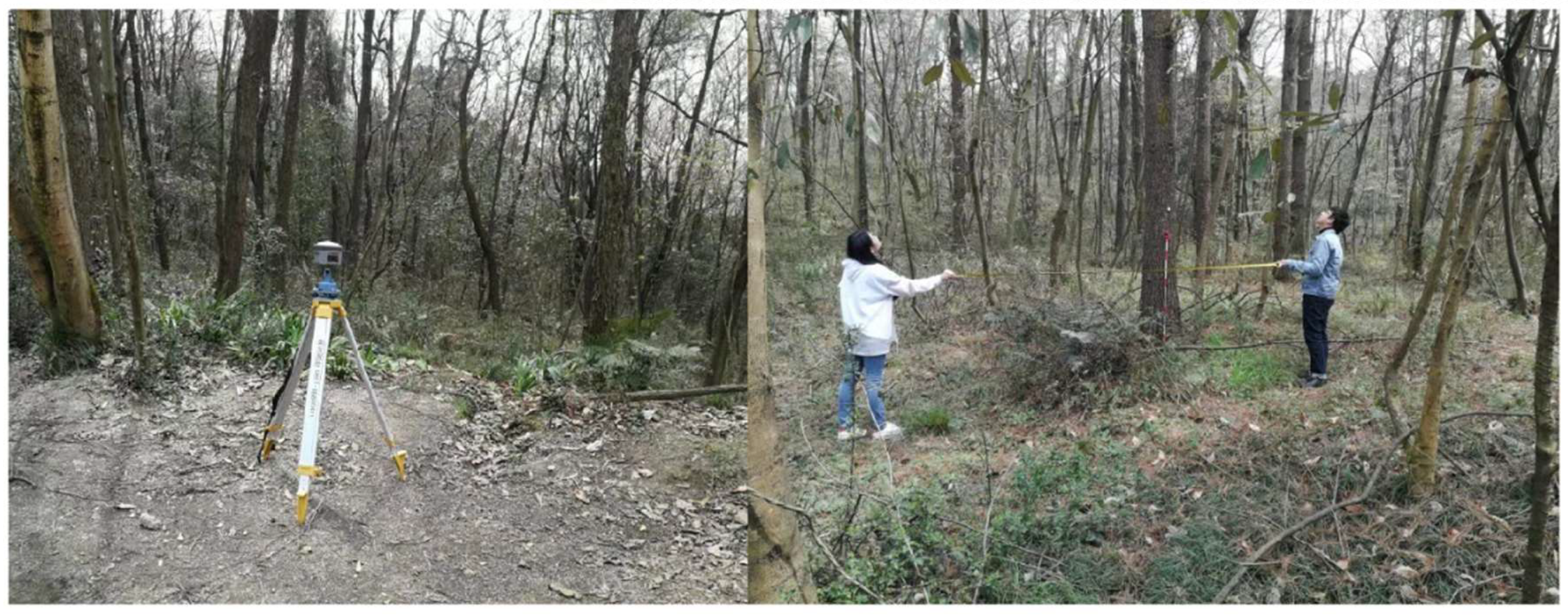 Remotesensing 13 02325 g003