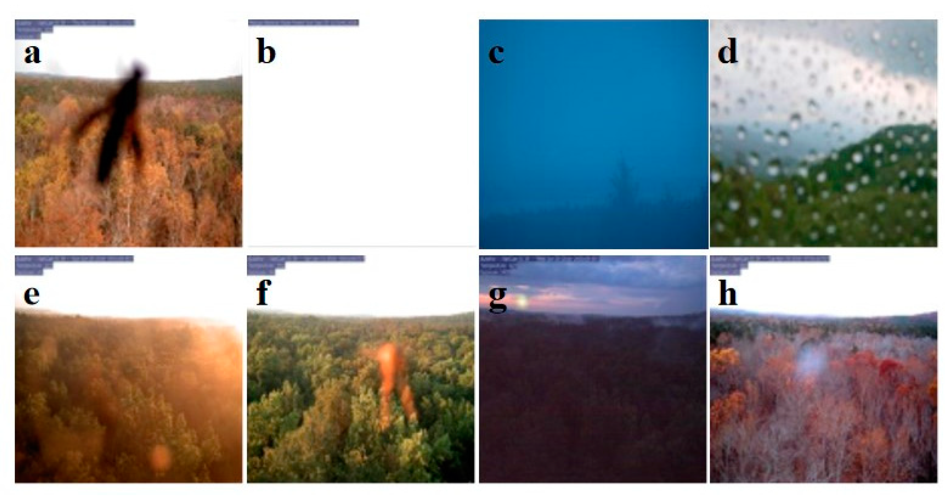 Remotesensing 13 02331 g0a1 Remotesensing 13 02331 g0a1