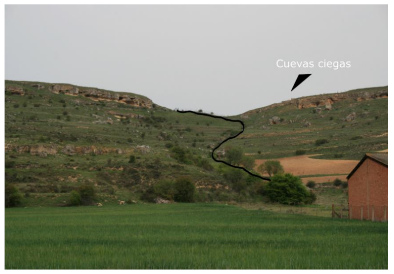 Remotesensing 13 02344 g014