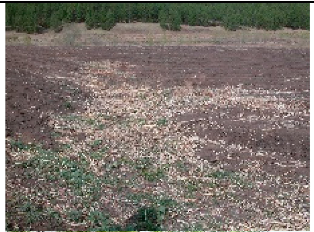 Remotesensing 13 02367 i001 Remotesensing 13 02367 i001