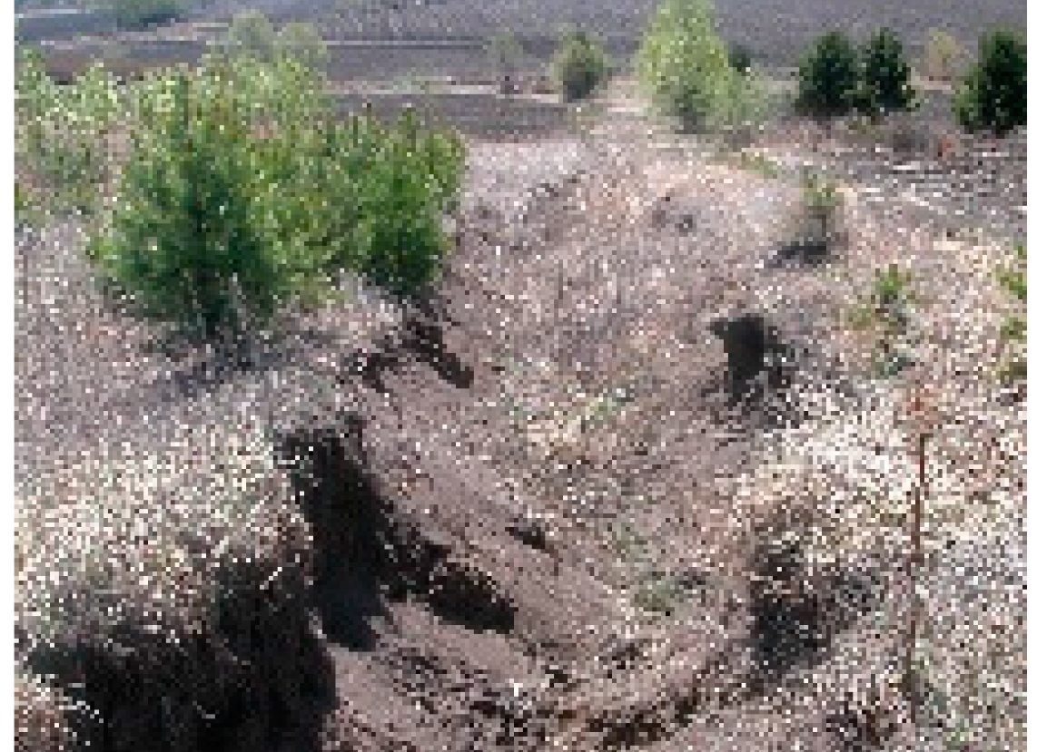 Remotesensing 13 02367 i007 Remotesensing 13 02367 i007