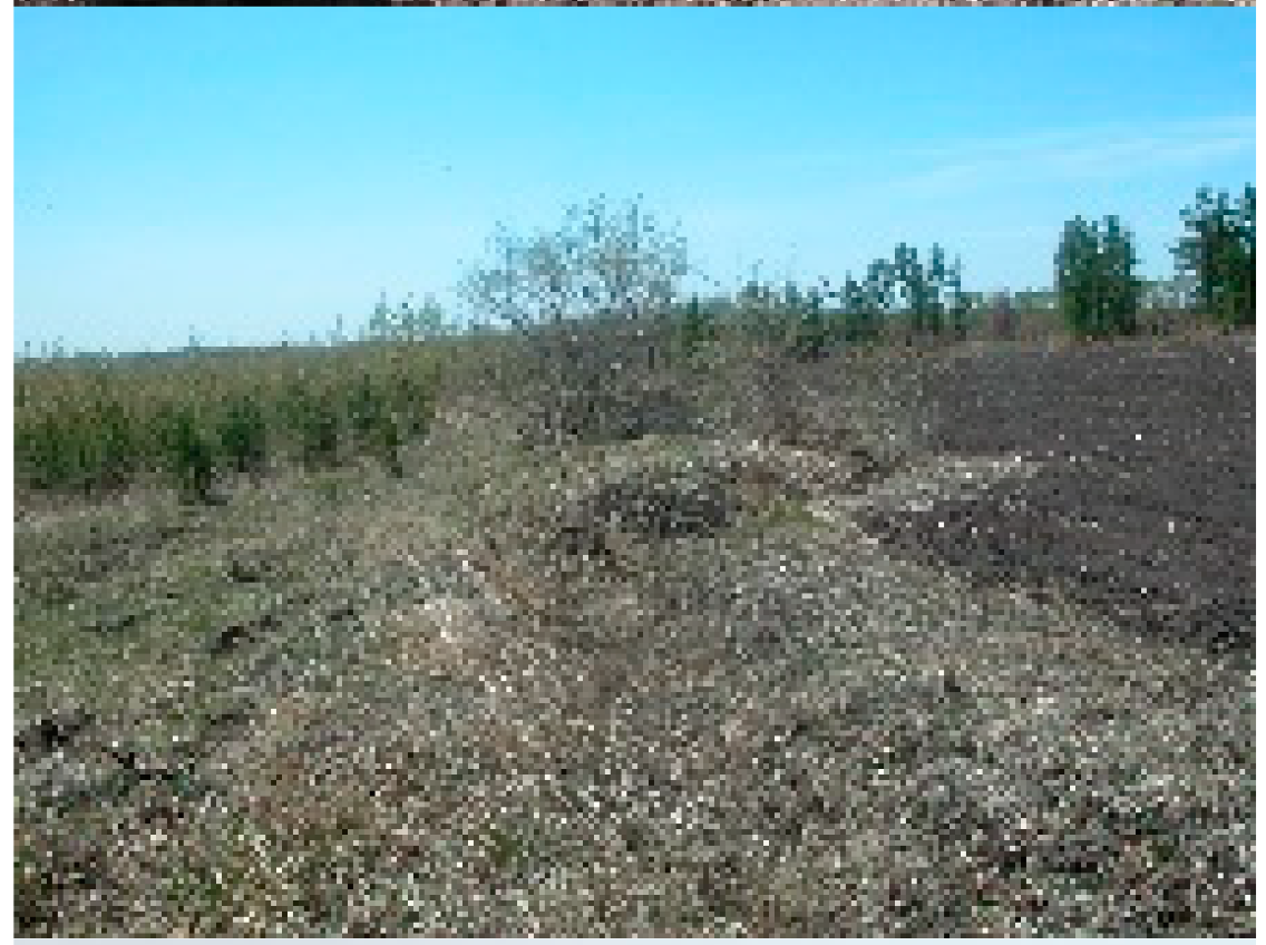 Remotesensing 13 02367 i009 Remotesensing 13 02367 i009