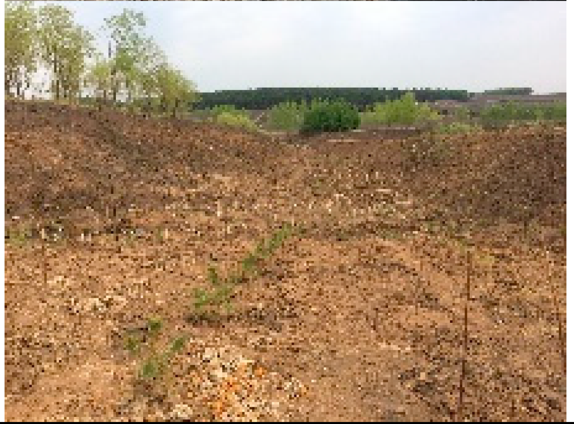 Remotesensing 13 02367 i013 Remotesensing 13 02367 i013