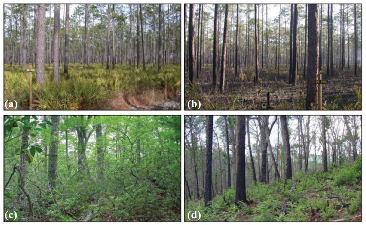 Remotesensing 13 02386 g003 Remotesensing 13 02386 g003