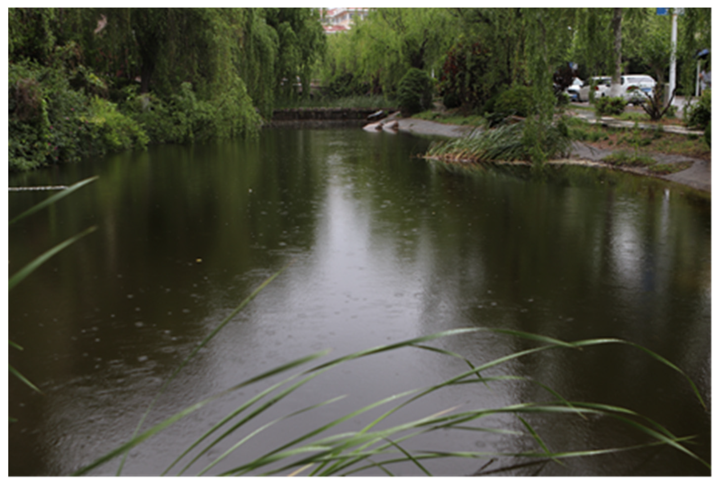 Remotesensing 13 02390 g0a2