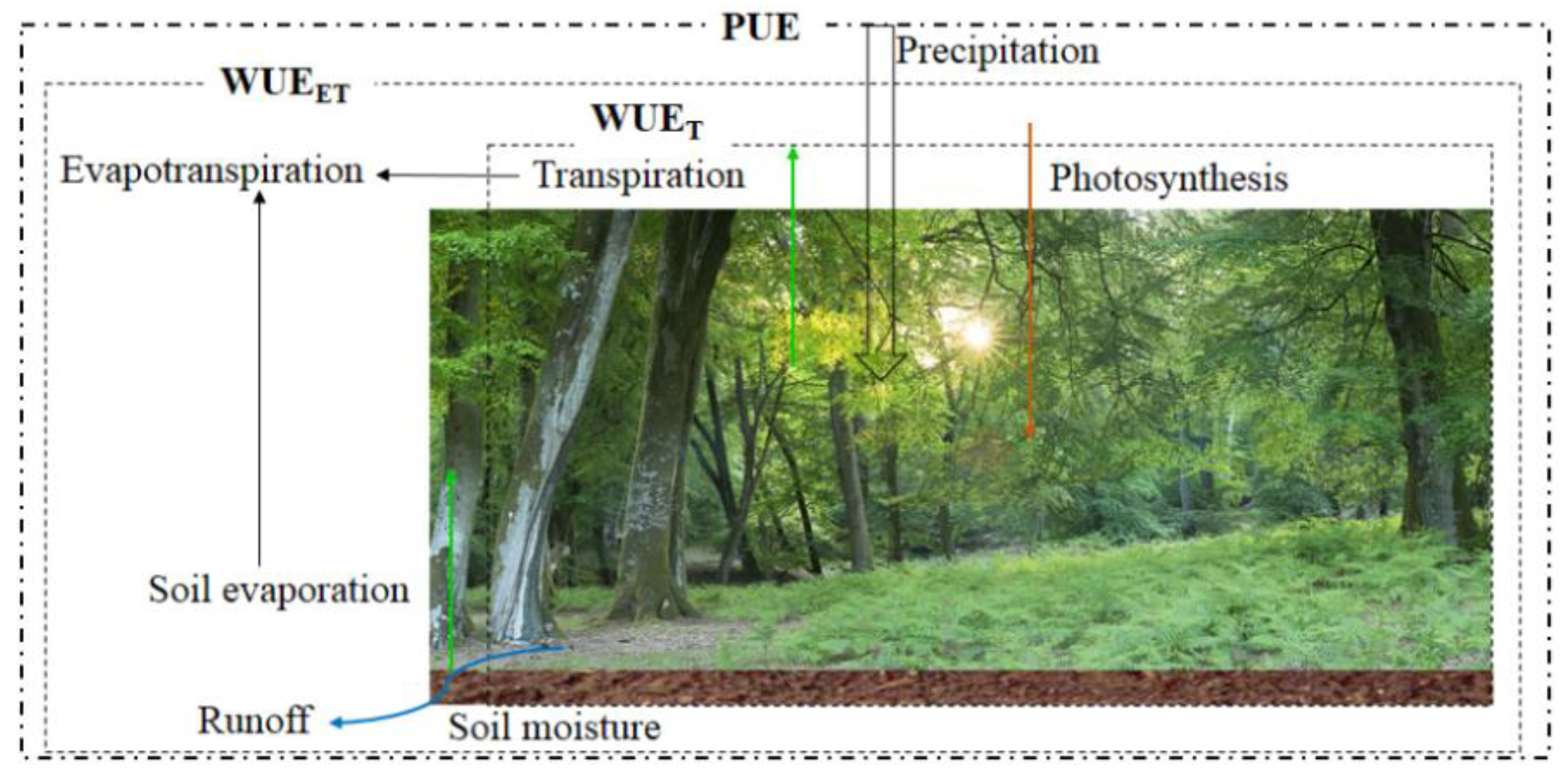 Remotesensing 13 02393 g002 Remotesensing 13 02393 g002