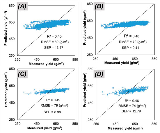 Coordination among Water Transport, Photosynthesis and