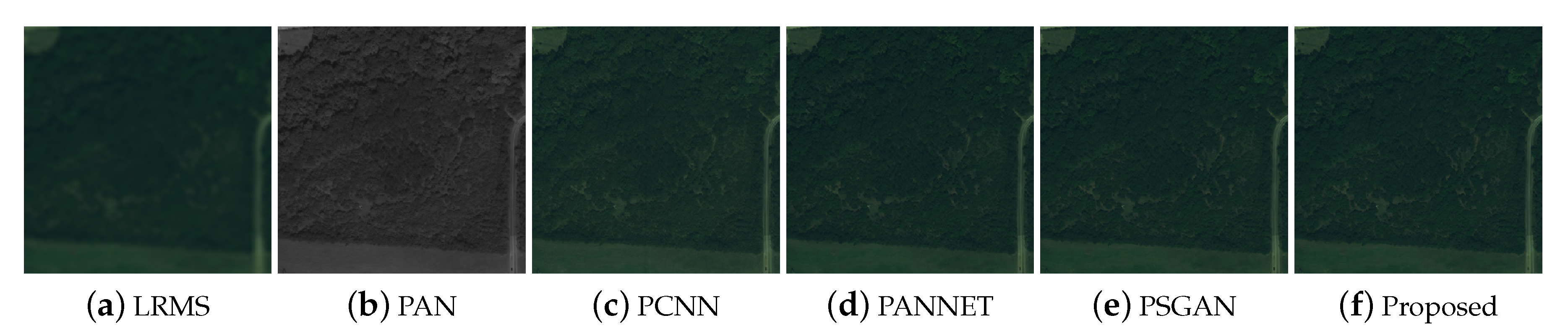 Remotesensing 13 02423 g013 550