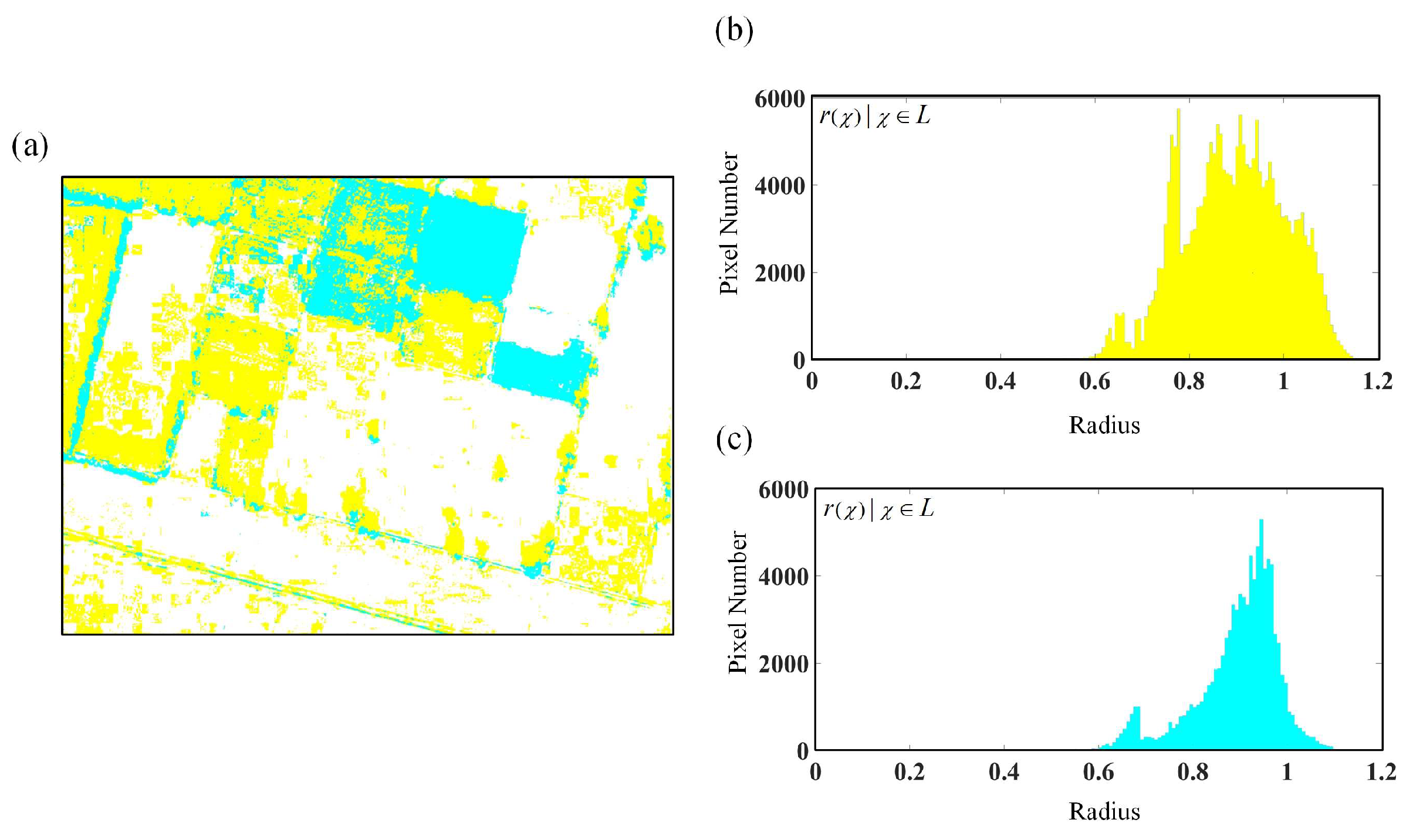 Remotesensing 13 02432 g006